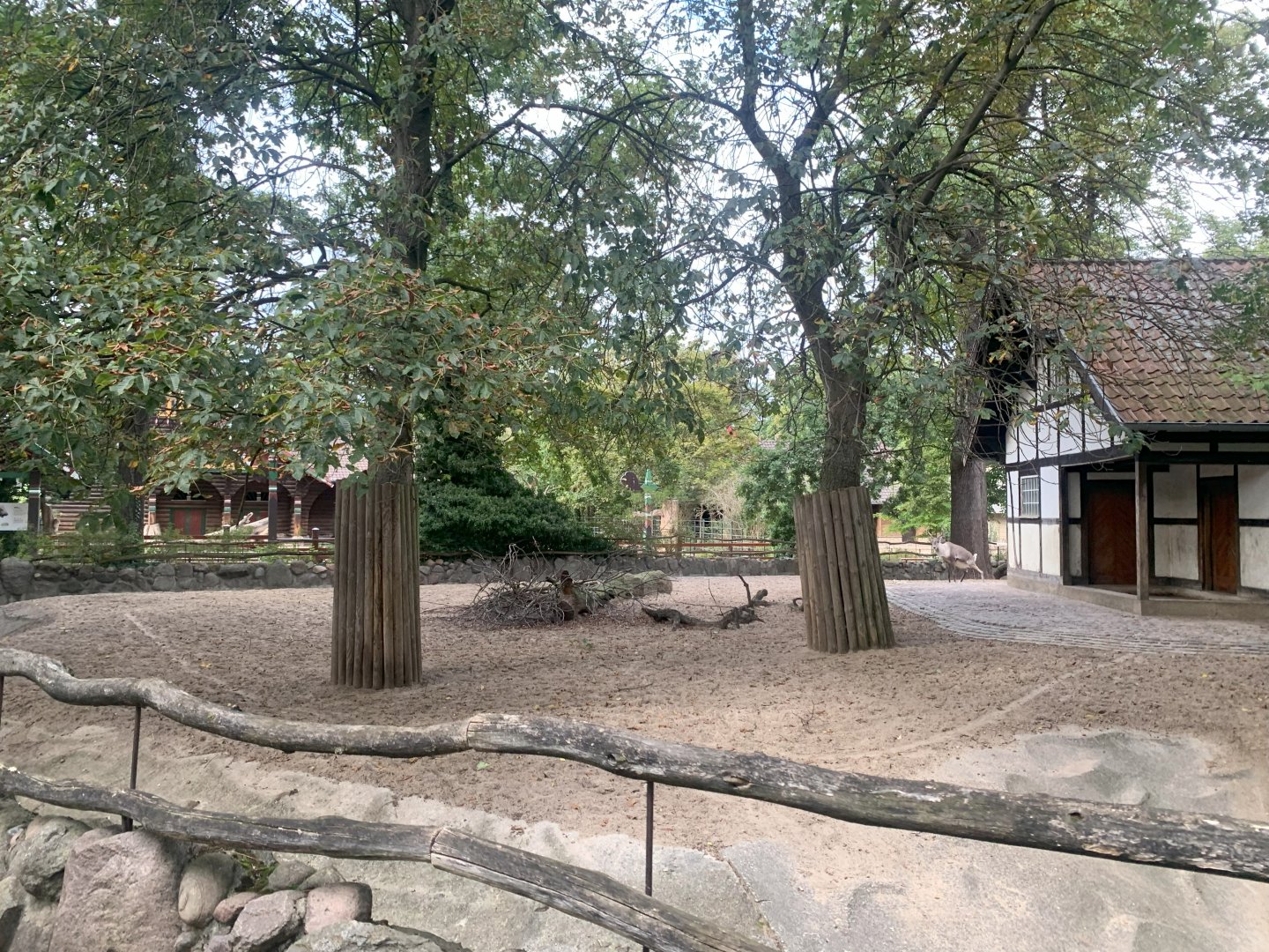 Eurasian Forest Reindeer enclosure