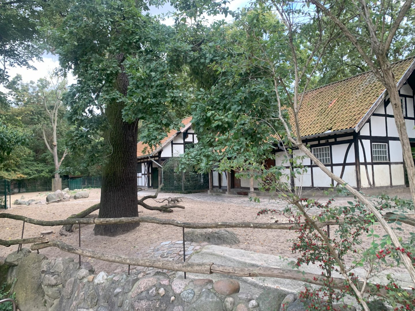 Eurasian Forest Reindeer enclosure