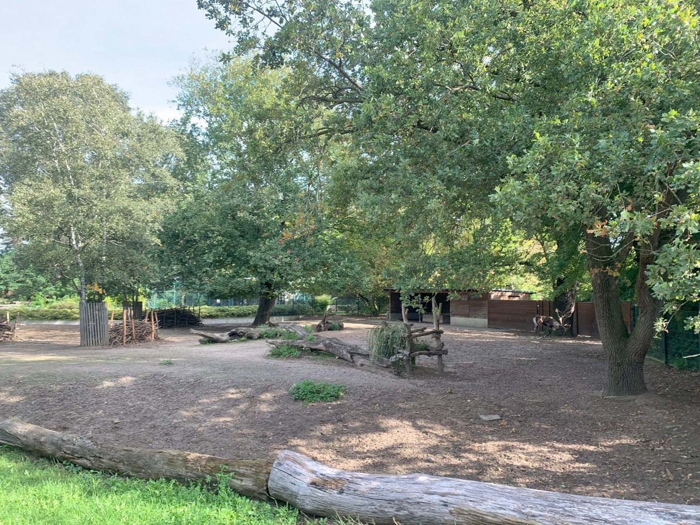 Eurasian Forest Reindeer enclosure