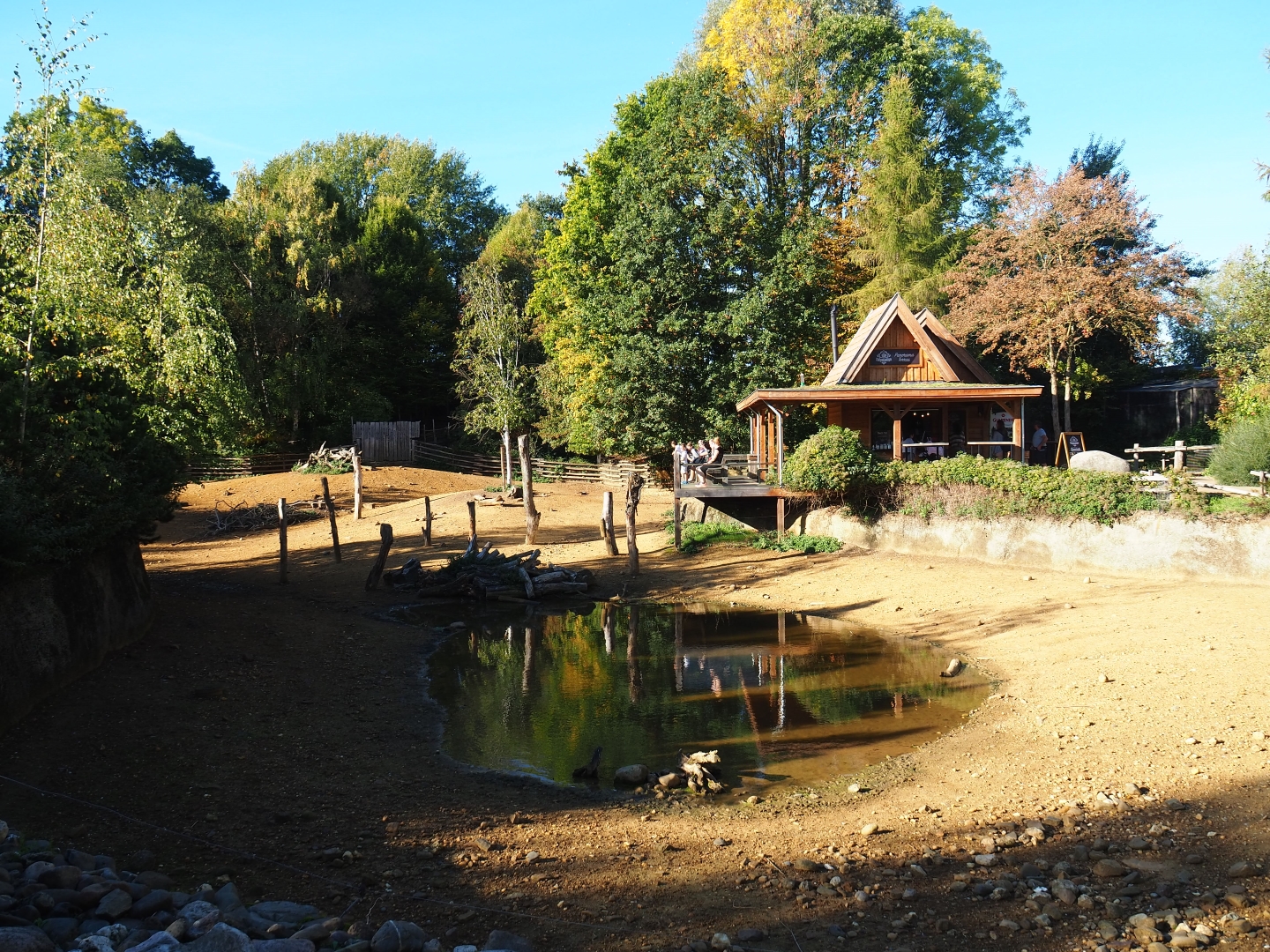 Eurasian forest reindeer exhibit (Oct 13th, 2018)