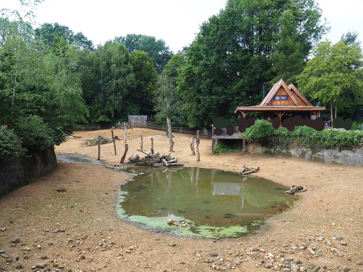 Eurasian forest reindeer paddock with geese pool and Taiga Lodge, 2019-07-21