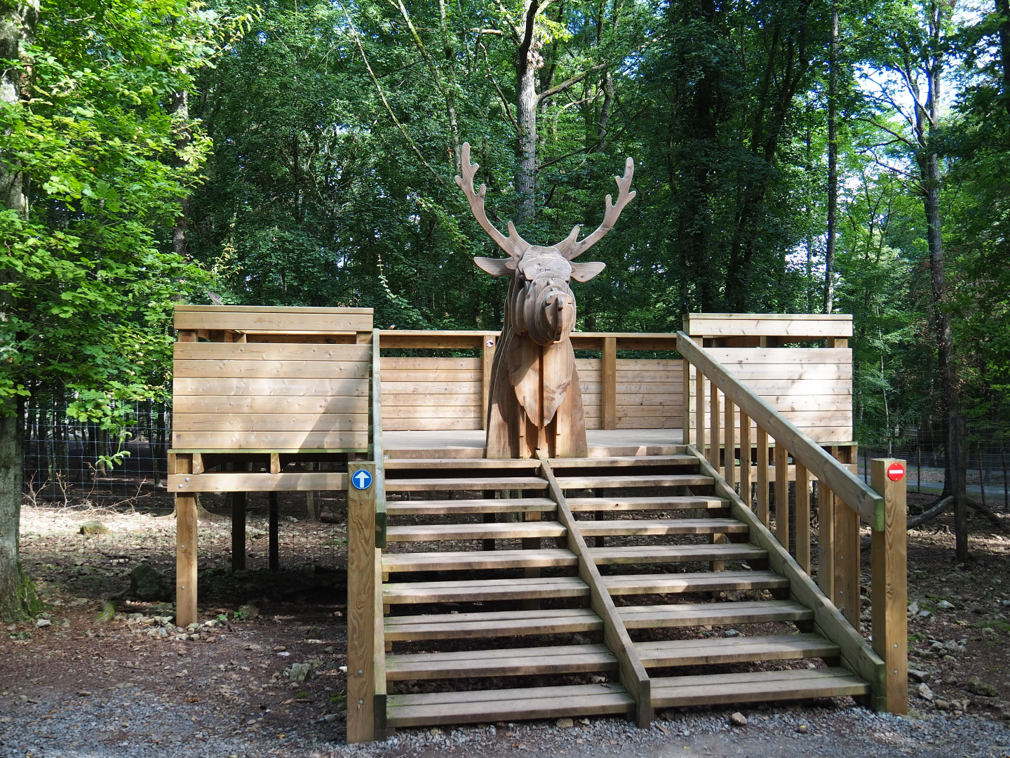 Eurasian forest reindeer viewing area, 2021-08-15