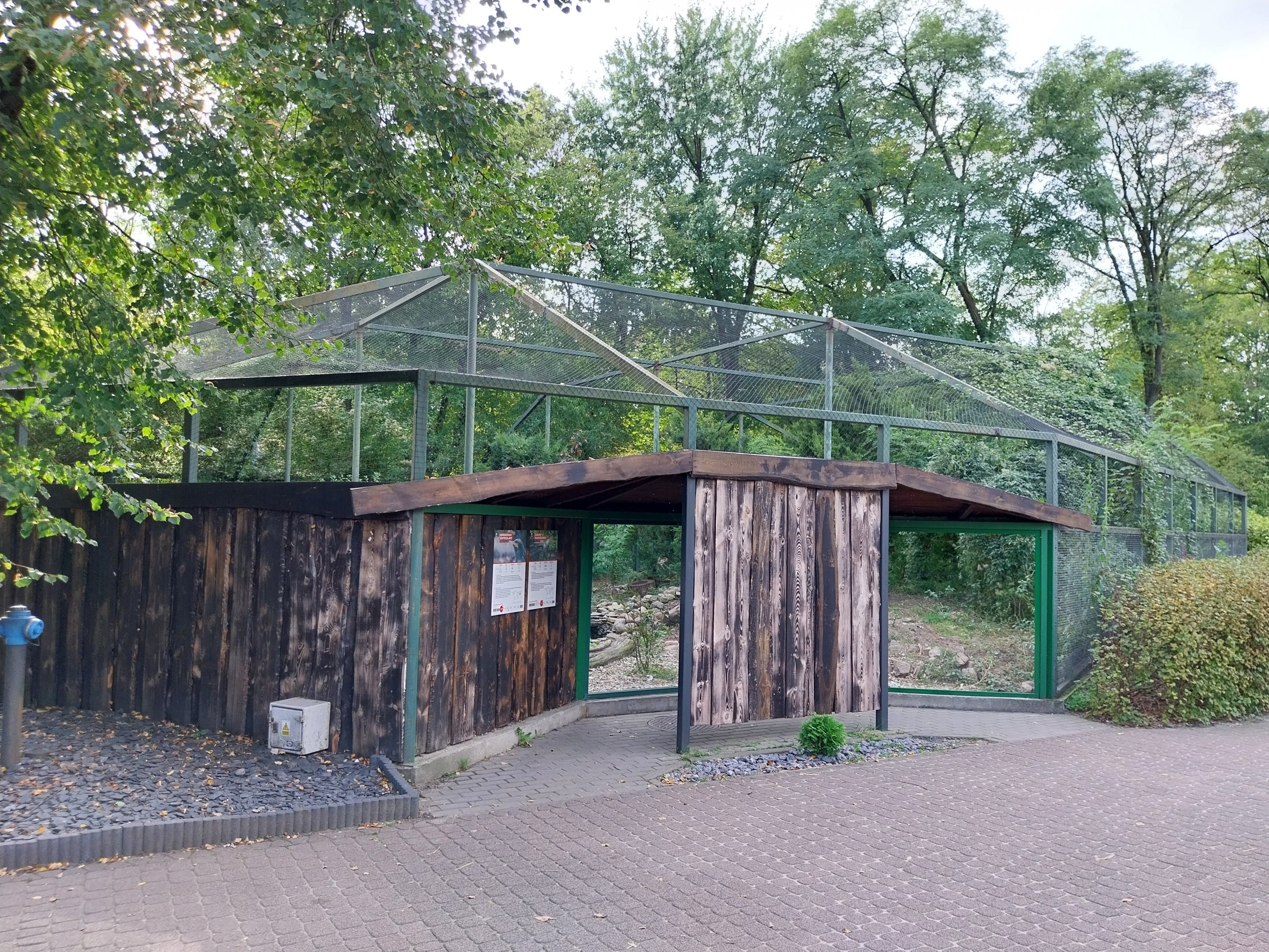 Eurasian Great Cormorant (Phalacrocorax carbo sinensis) and Red-crowned Crane (Grus japonensis)