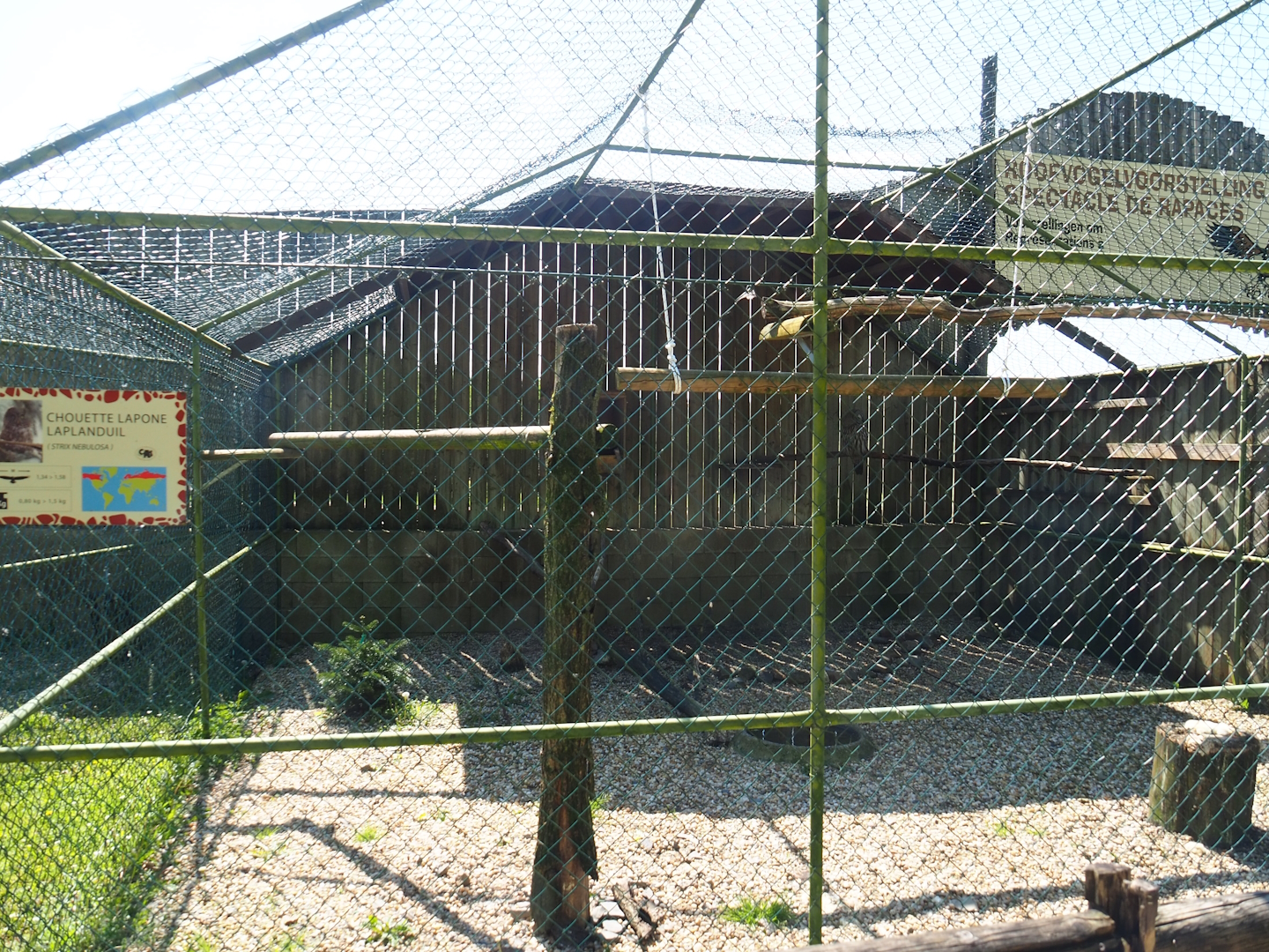 Eurasian great grey owl aviary, 2023-05-19