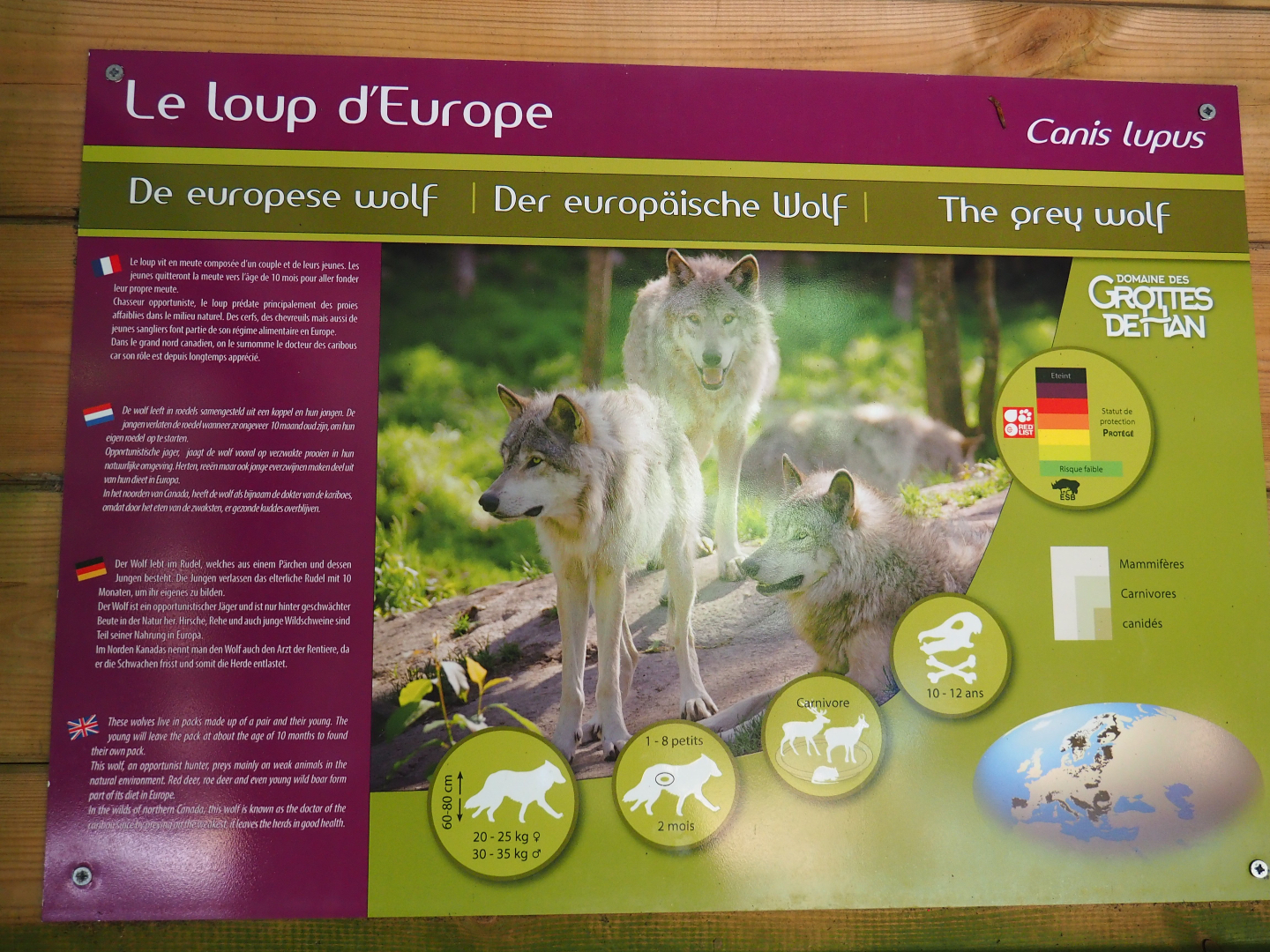 Eurasian grey wolf signage, 2020-07-12