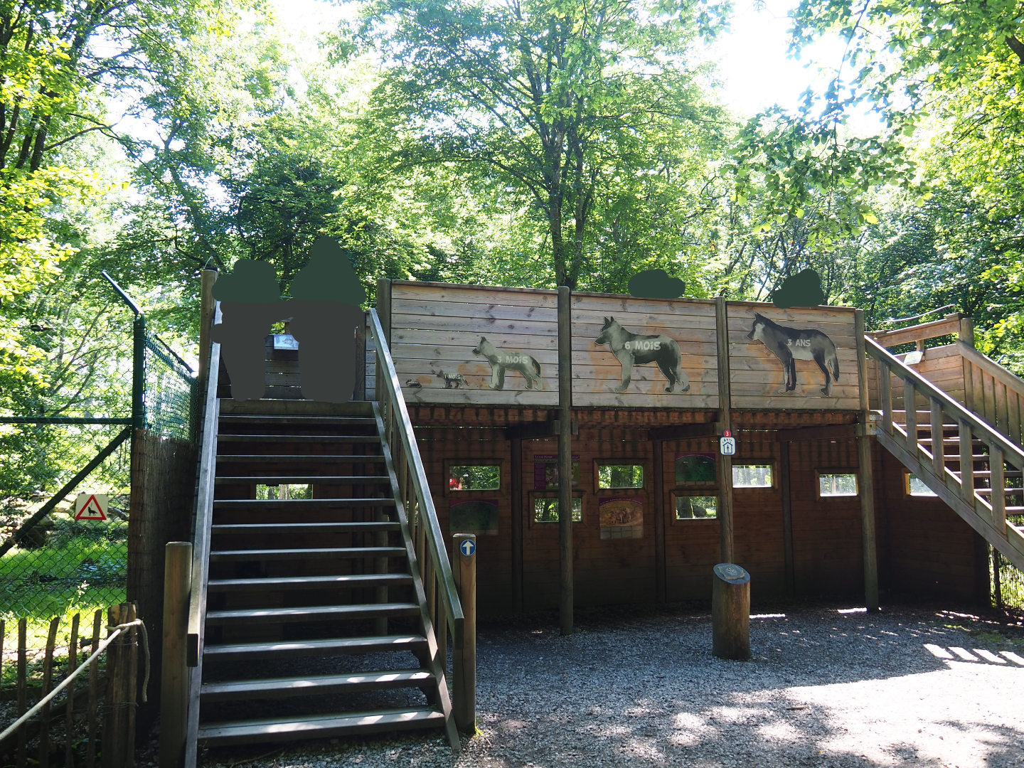 Eurasian grey wolf viewing area, 2020-07-12