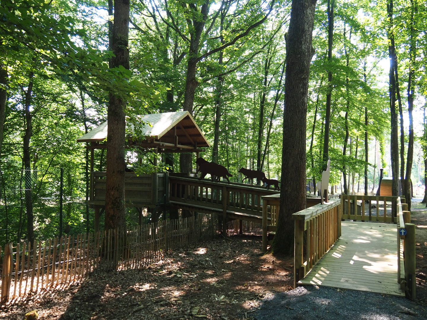 Eurasian grey wolf viewing area, 2020-07-12