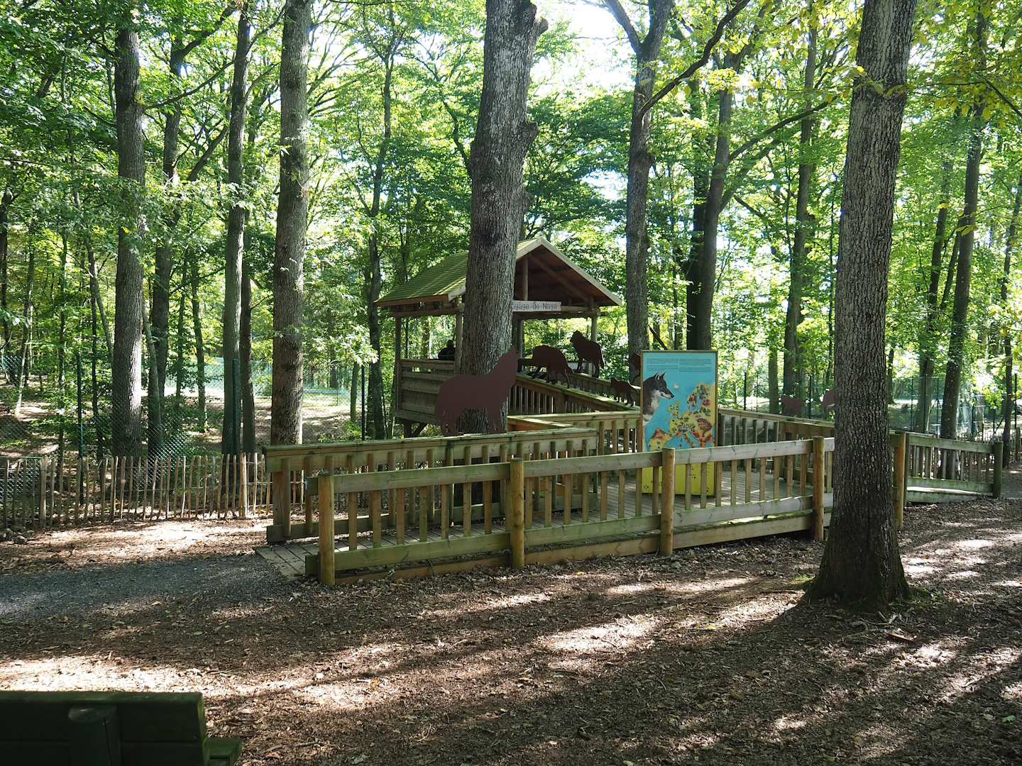 Eurasian grey wolf viewing area, 2023-09-26