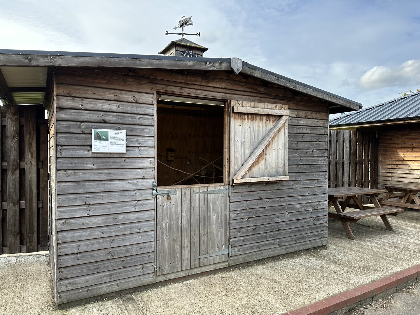 Eurasian Harvest Mouse Enclosure at Hamerton Zoo Park (October 2023)