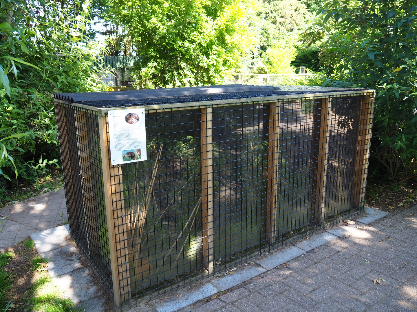 Eurasian harvest mouse exhibit, 2019-06-01