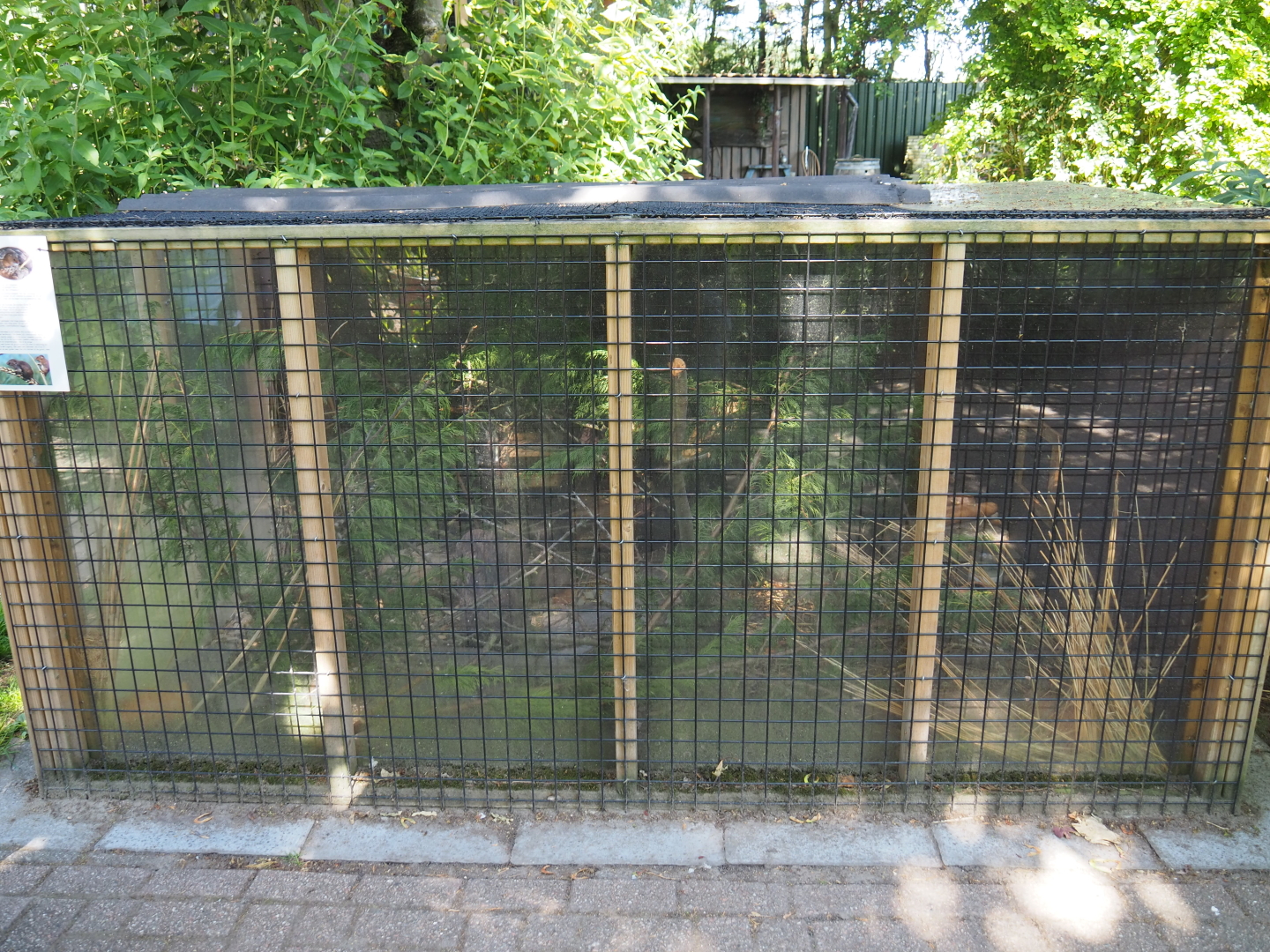 Eurasian harvest mouse exhibit, 2019-06-01