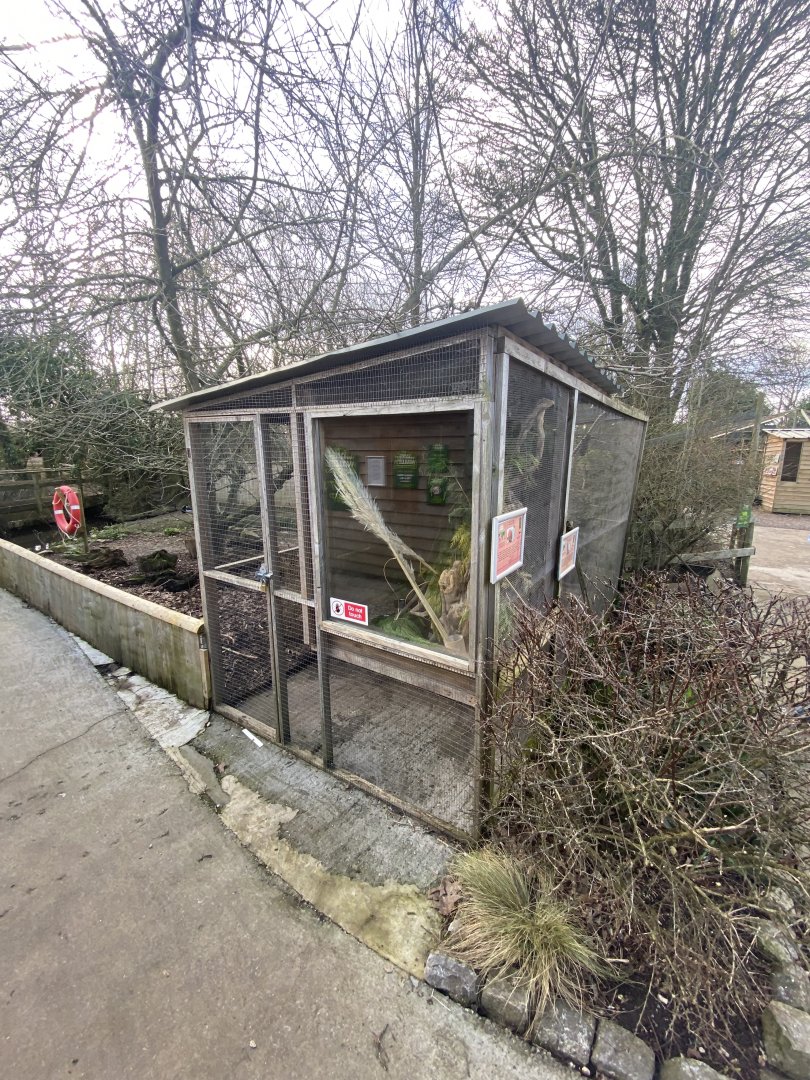 Eurasian harvest mouse exhibit and Swinhoe's striped squirrel exhibit 250222