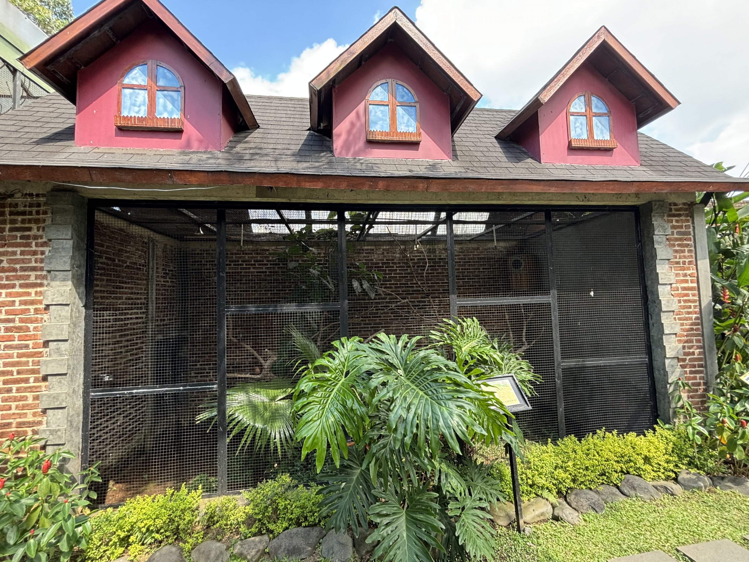Eurasian Hoopoe Aviary