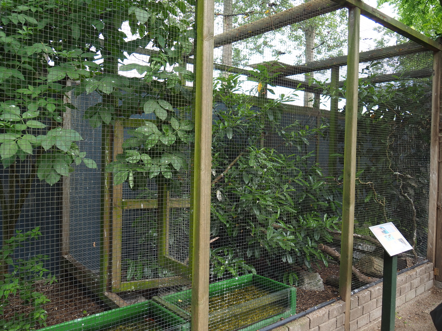 Eurasian kingfisher aviaries, 2019-05-25