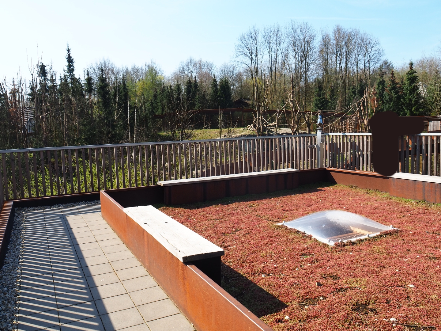 Eurasian lynx and Barbary macaque viewing area, 2019-03-30