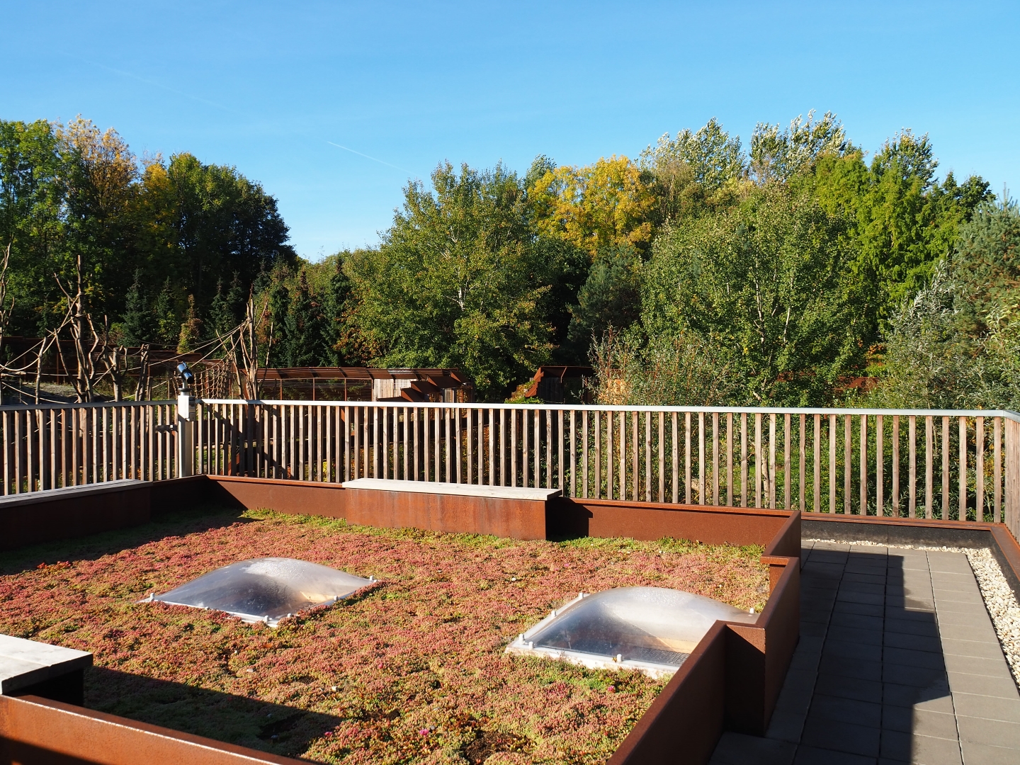 Eurasian lynx and Barbary macaque viewing platform (Oct 13th, 2018)