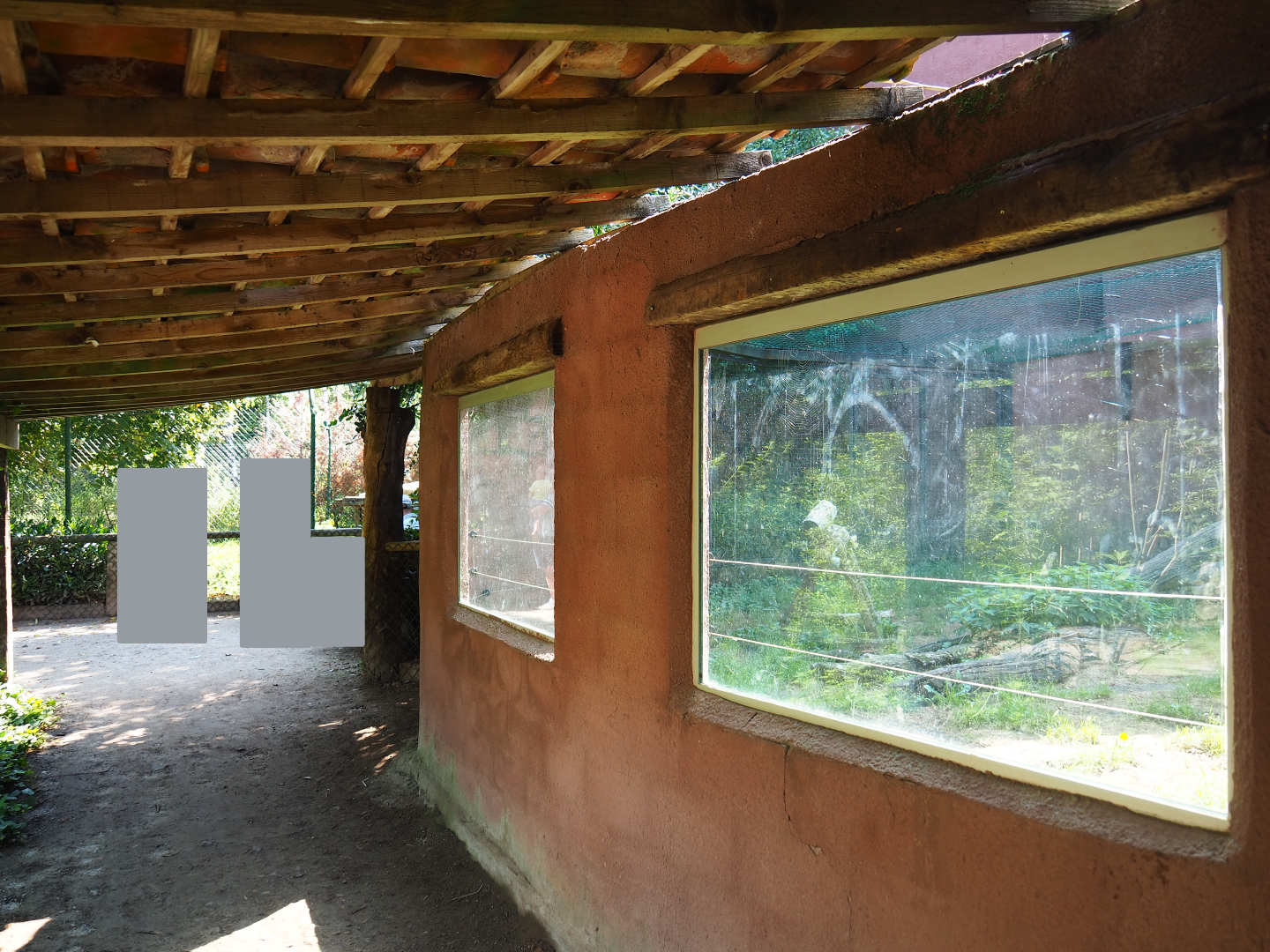 Eurasian lynx and Central African leopard viewing area, 2019-08-04