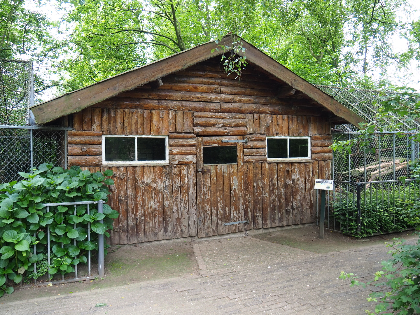 Eurasian lynx barn, 2019-05-25