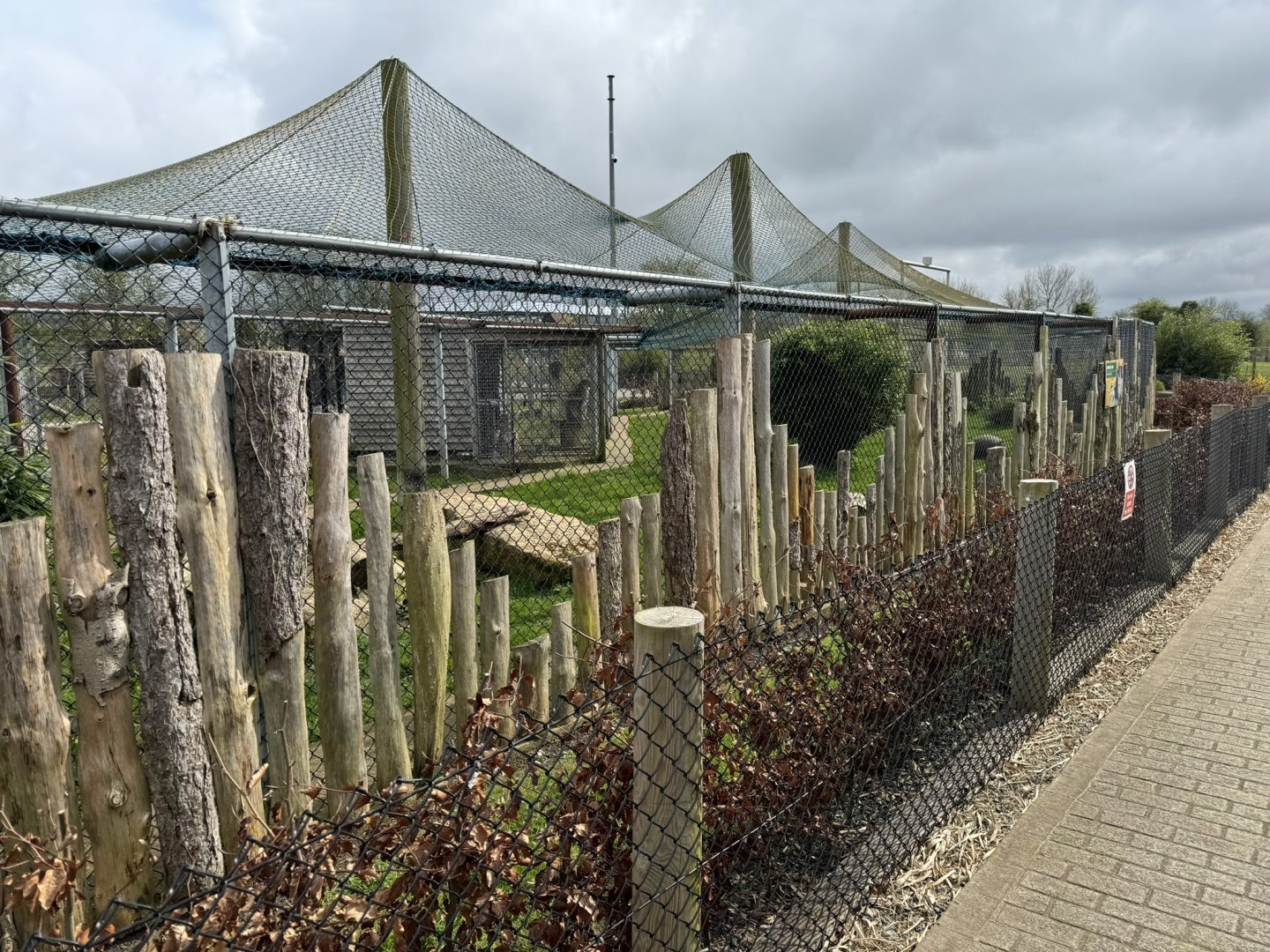 Eurasian Lynx Enclosure at Wolds Wildlife Park (March 2024)
