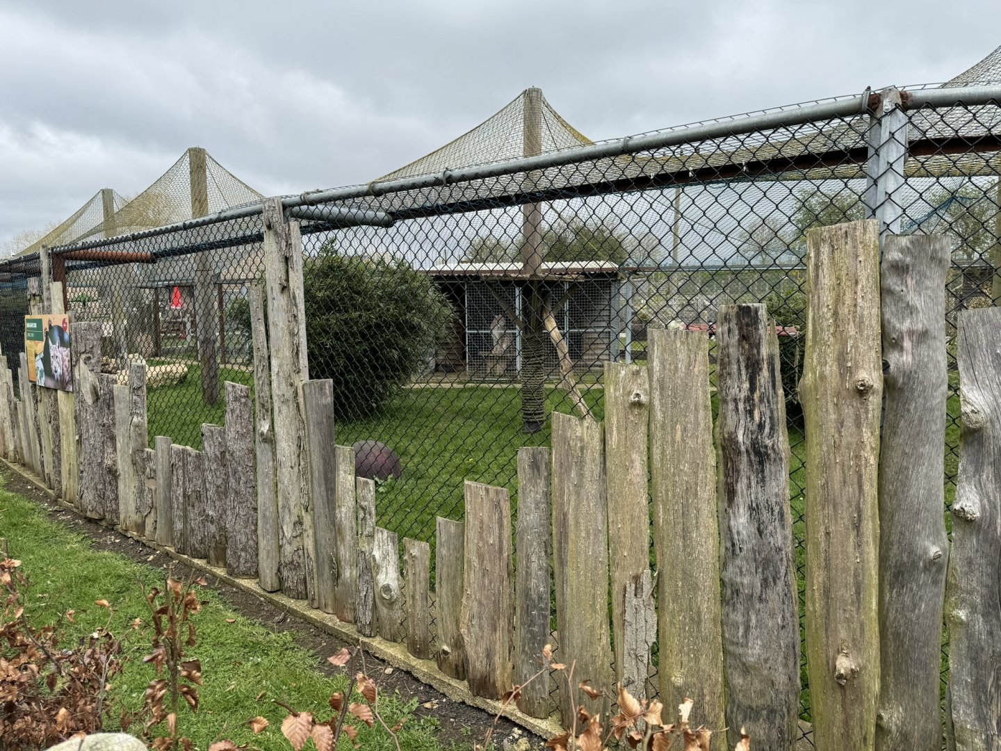 Eurasian Lynx Enclosure at Wolds Wildlife Park (March 2024)