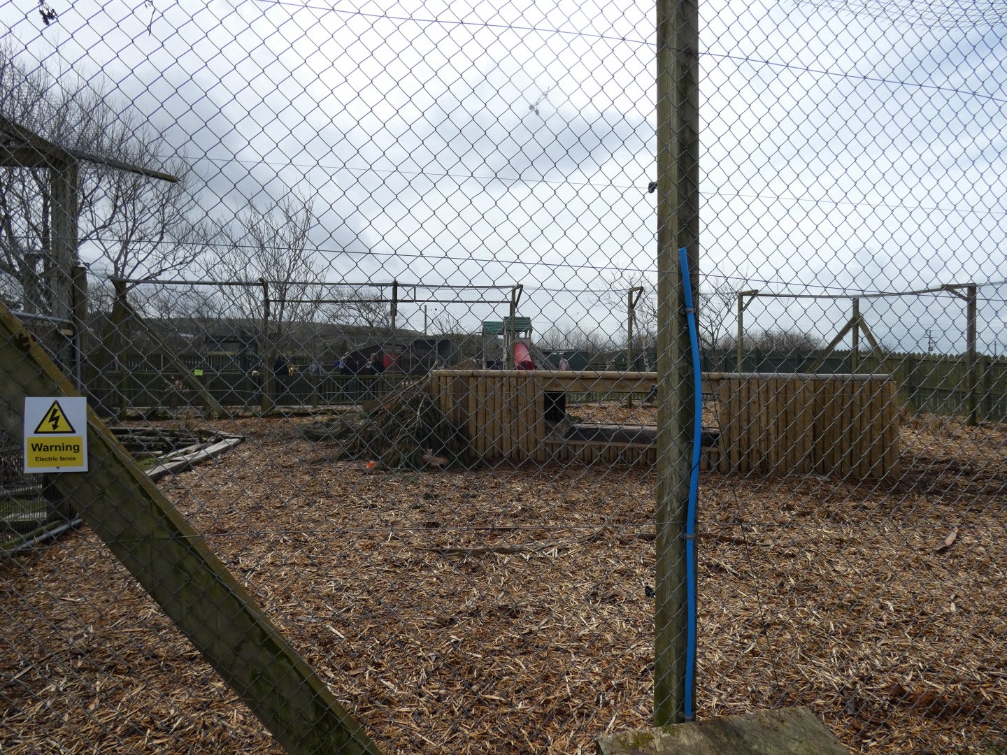 Eurasian Lynx Enclosure