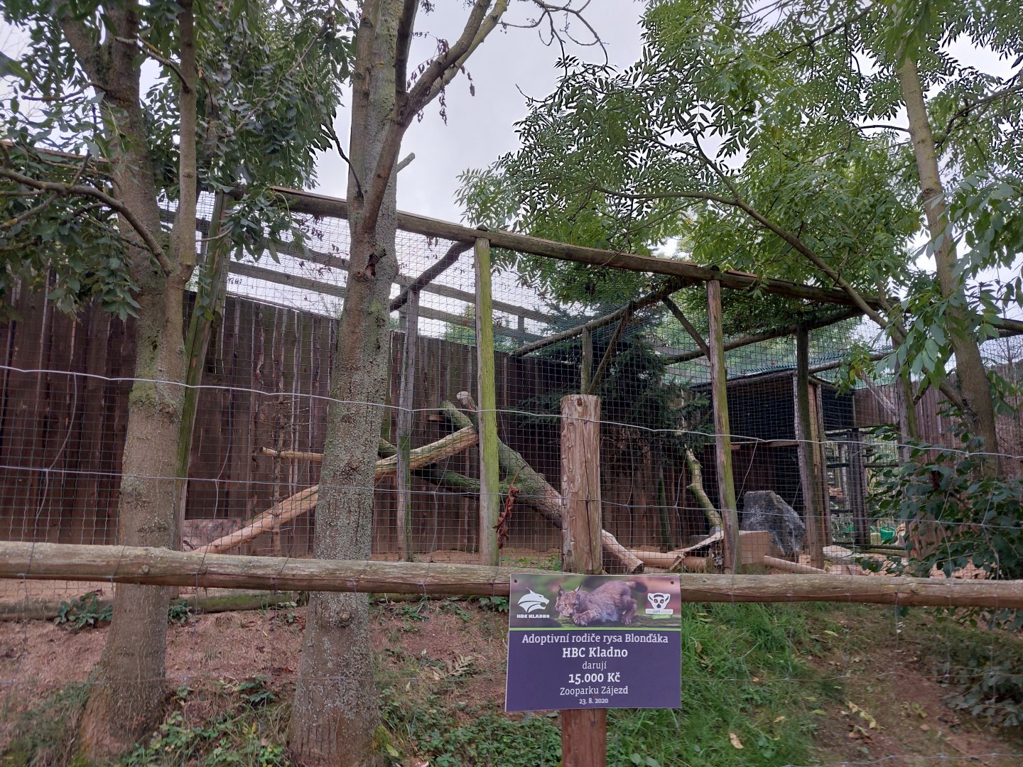 Eurasian lynx enclosure