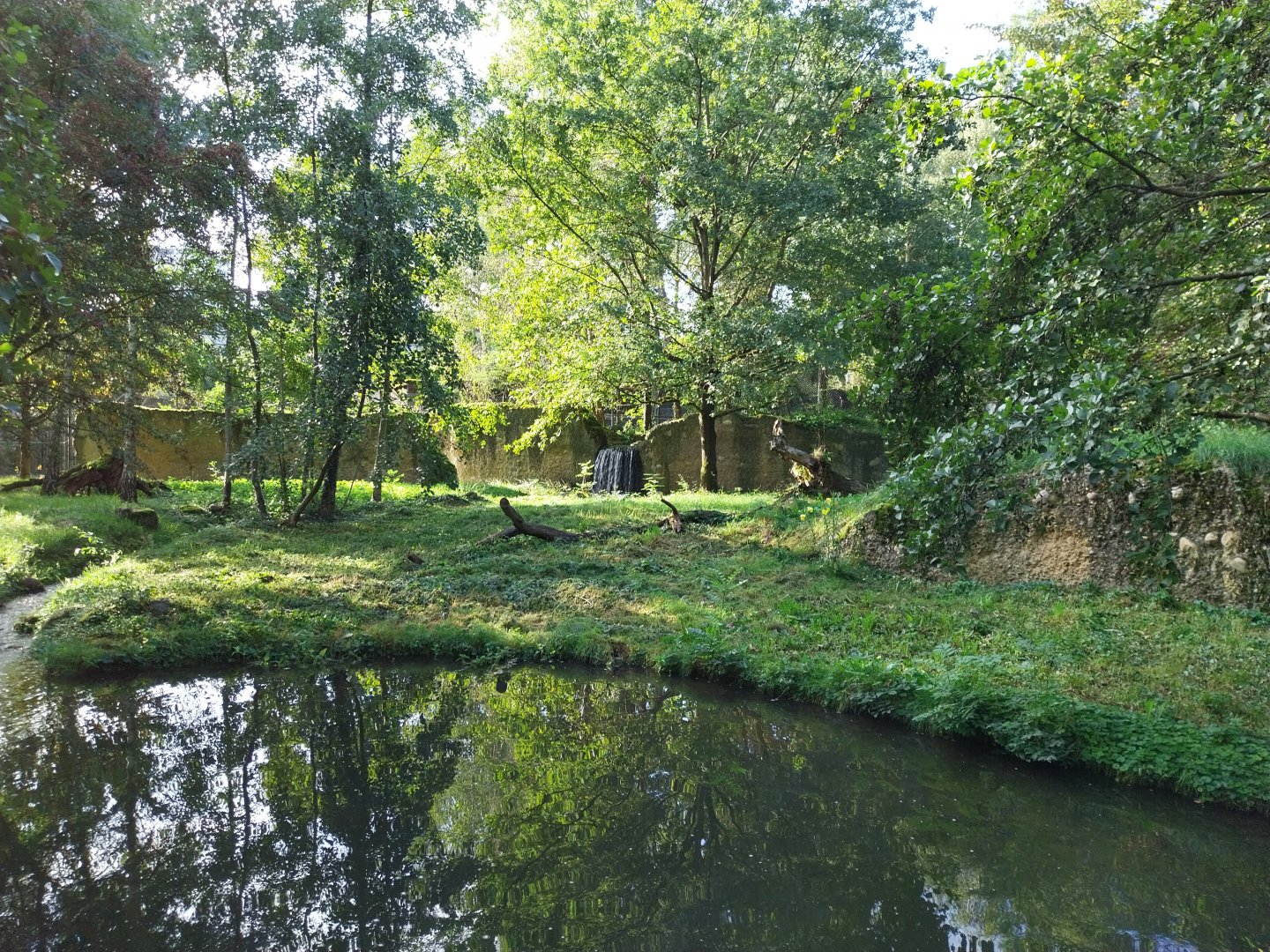 Eurasian lynx enclosure