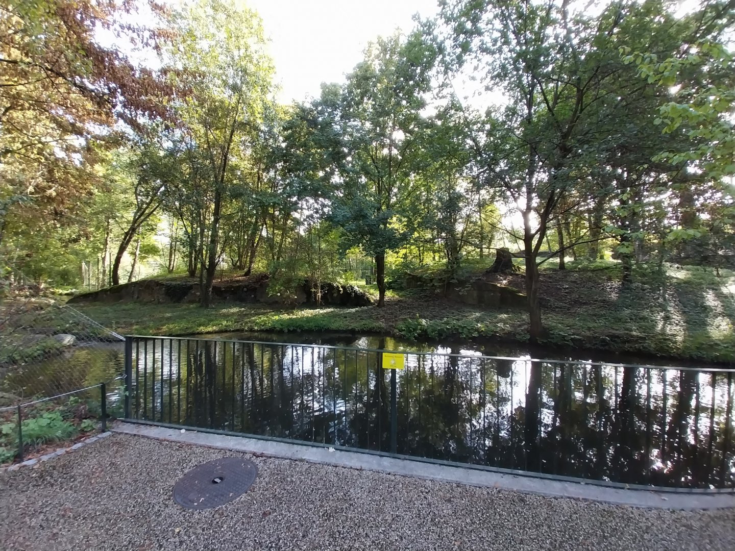 Eurasian lynx enclosure