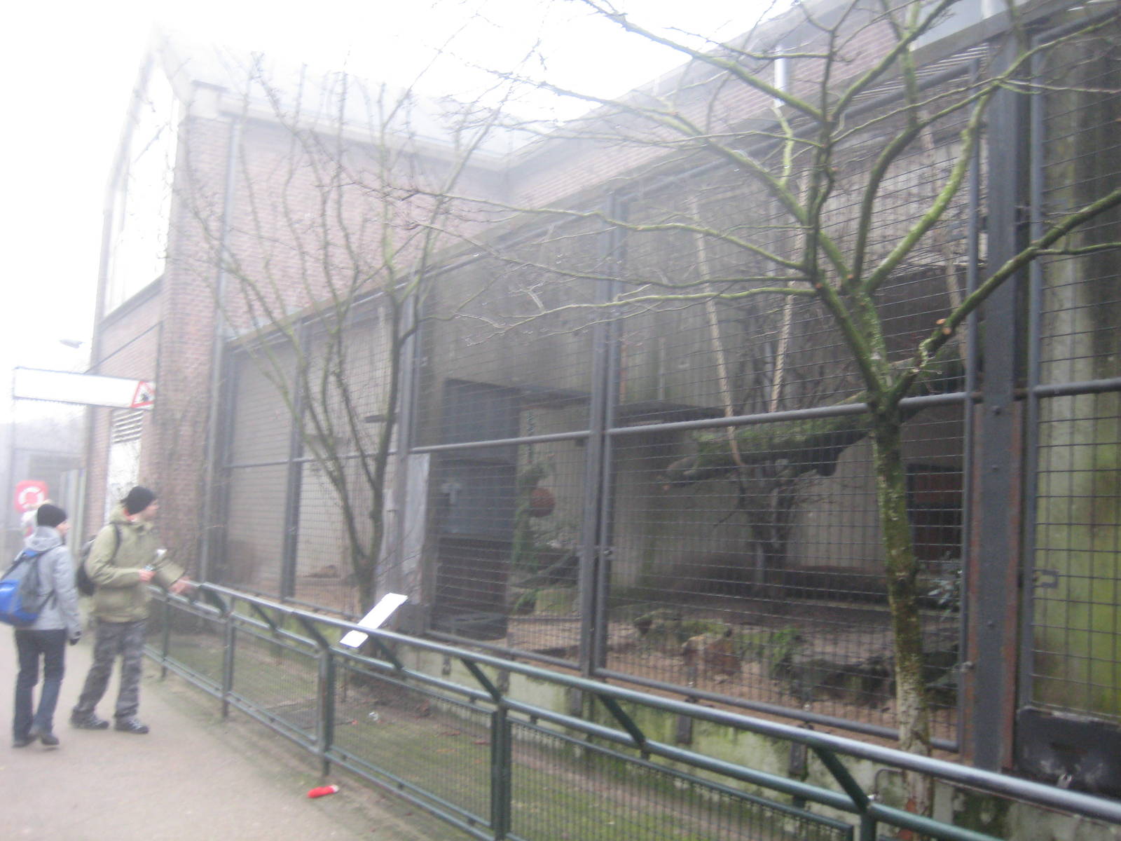 Eurasian lynx enclosure