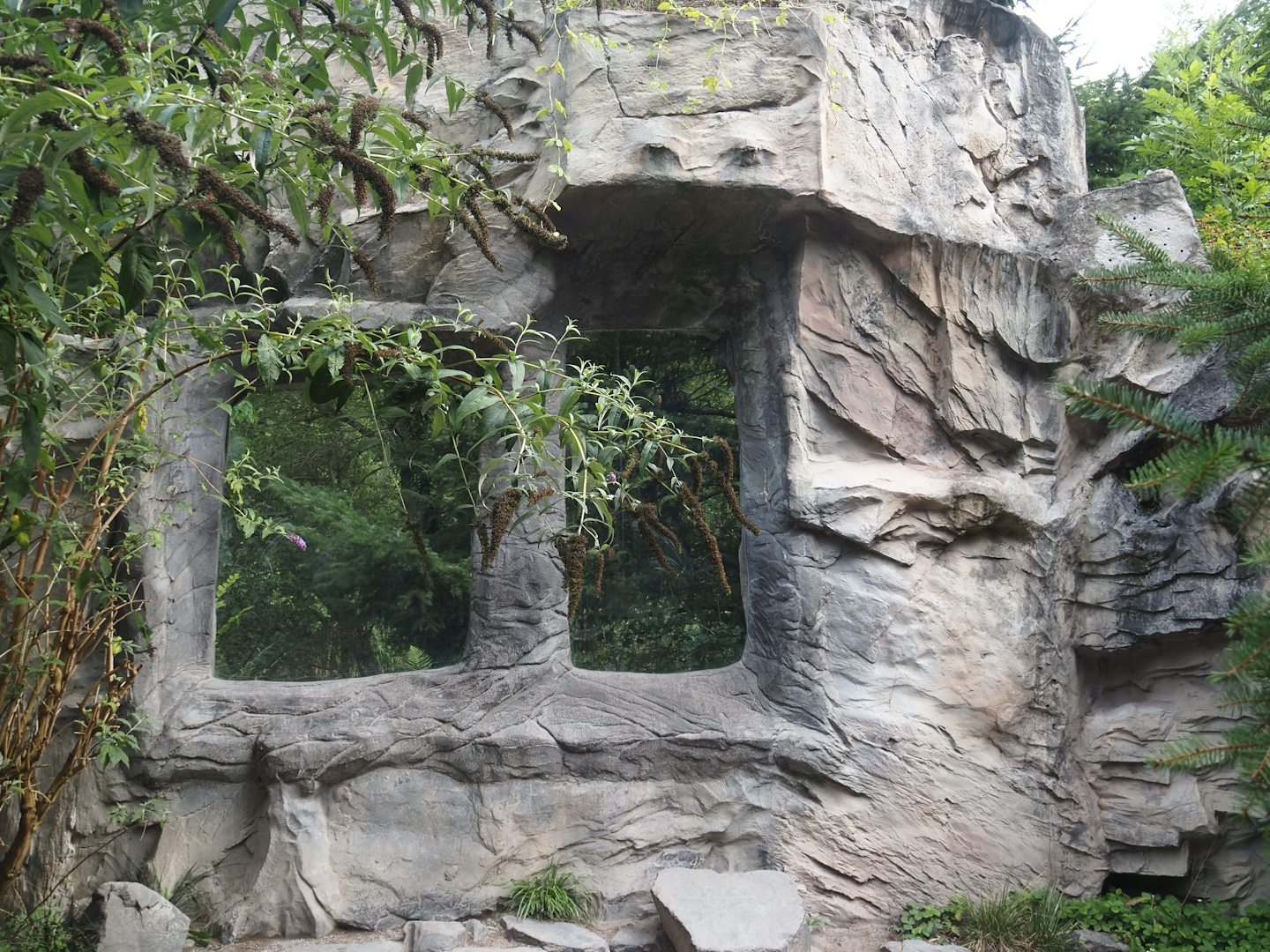 Eurasian lynx exhibit viewing window, 2024-08-05