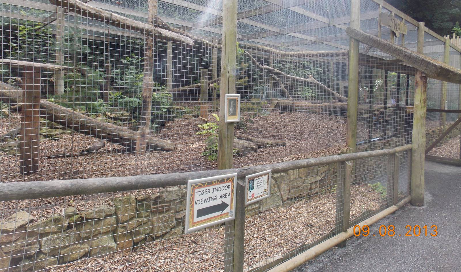 Eurasian Lynx Exhibit
