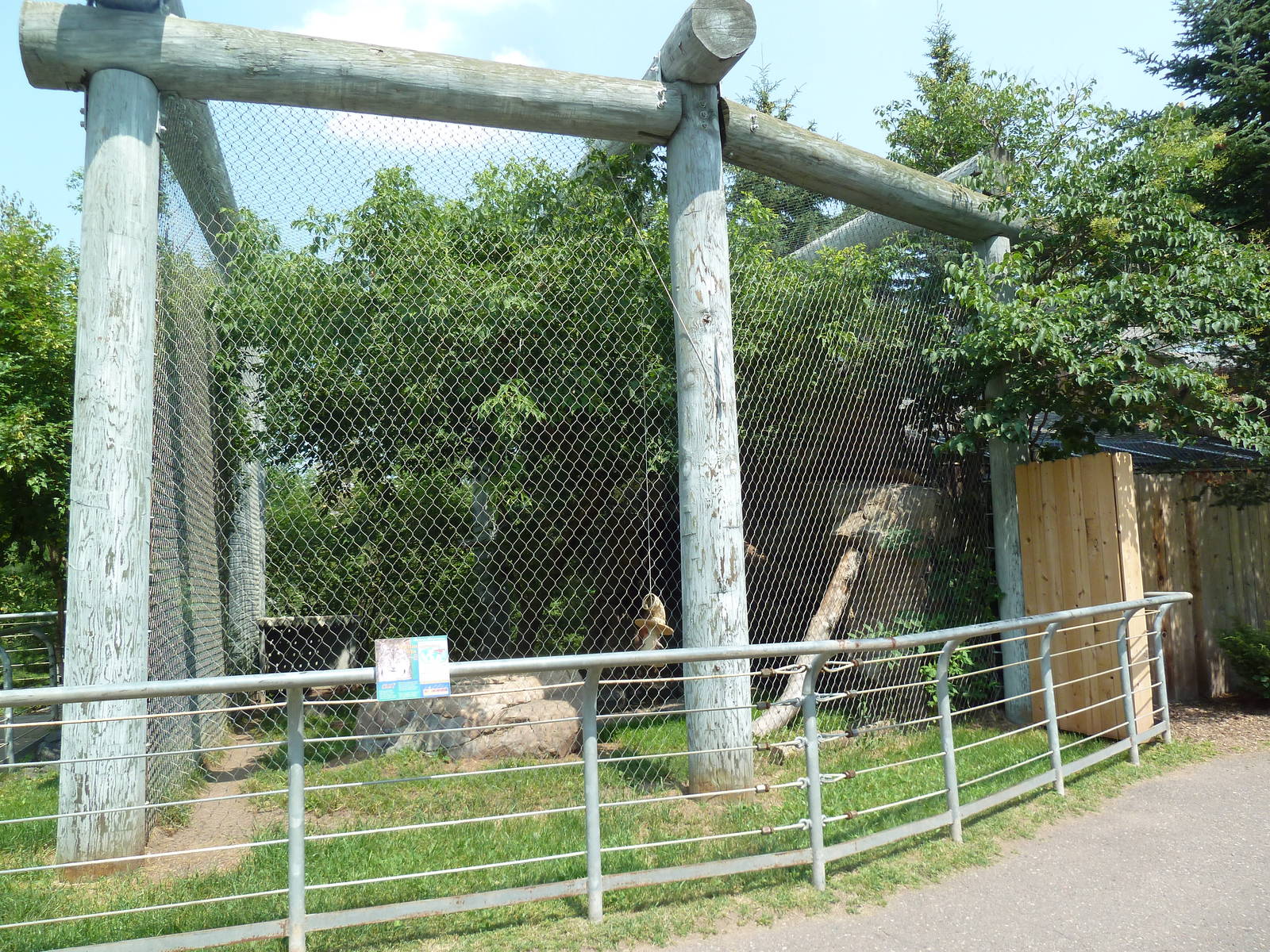 Eurasian Lynx Exhibit