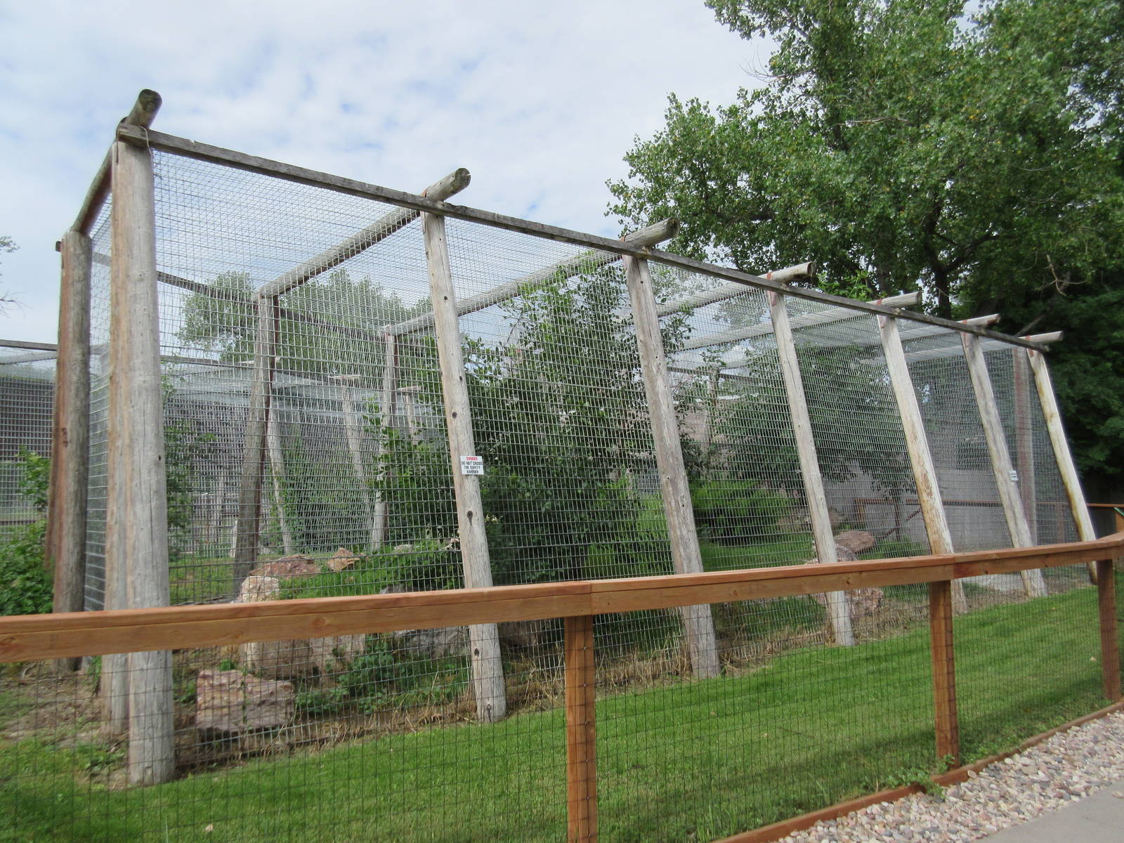 Eurasian Lynx Exhibit