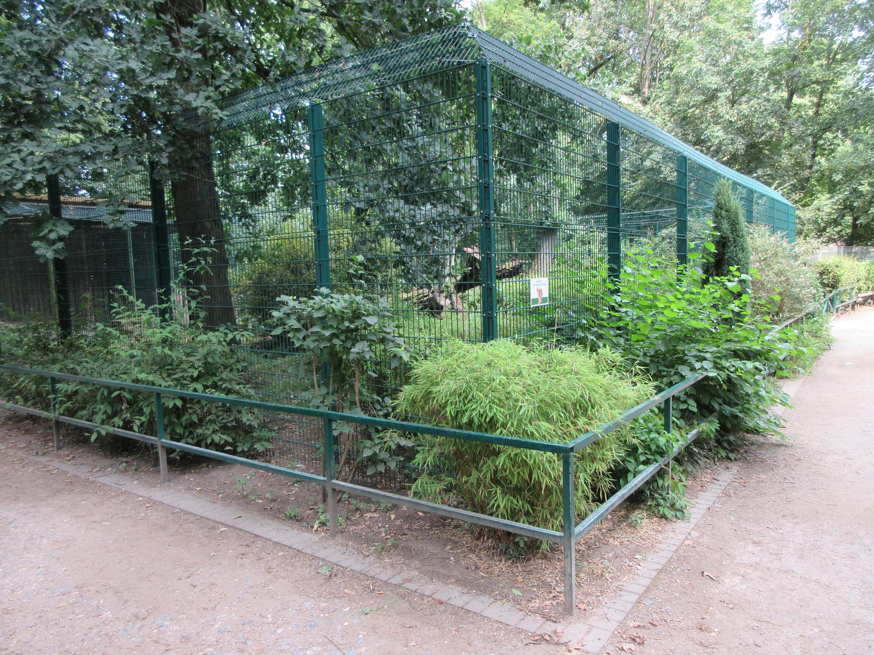 Eurasian Lynx Exhibit