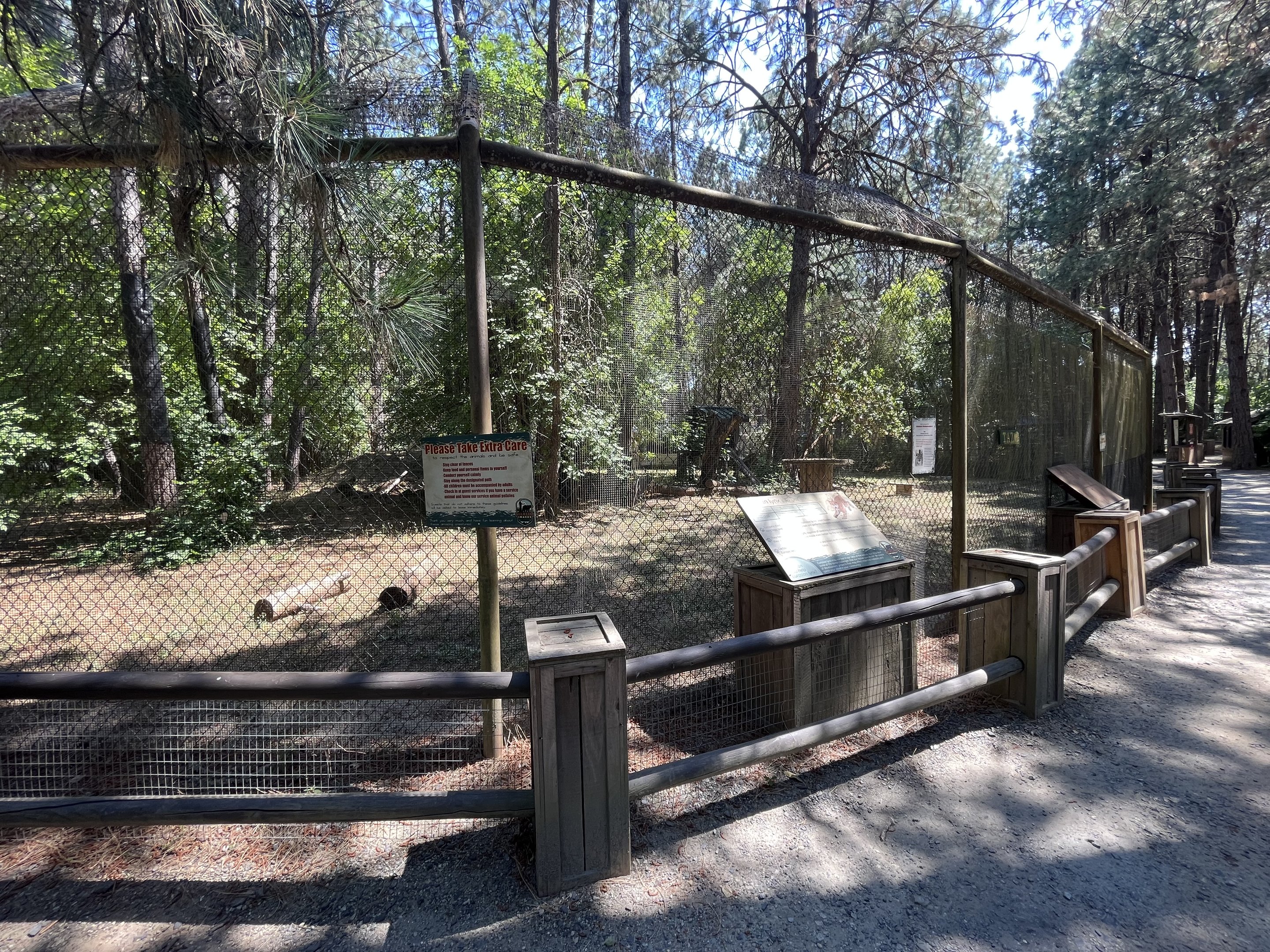 Eurasian Lynx Exhibit