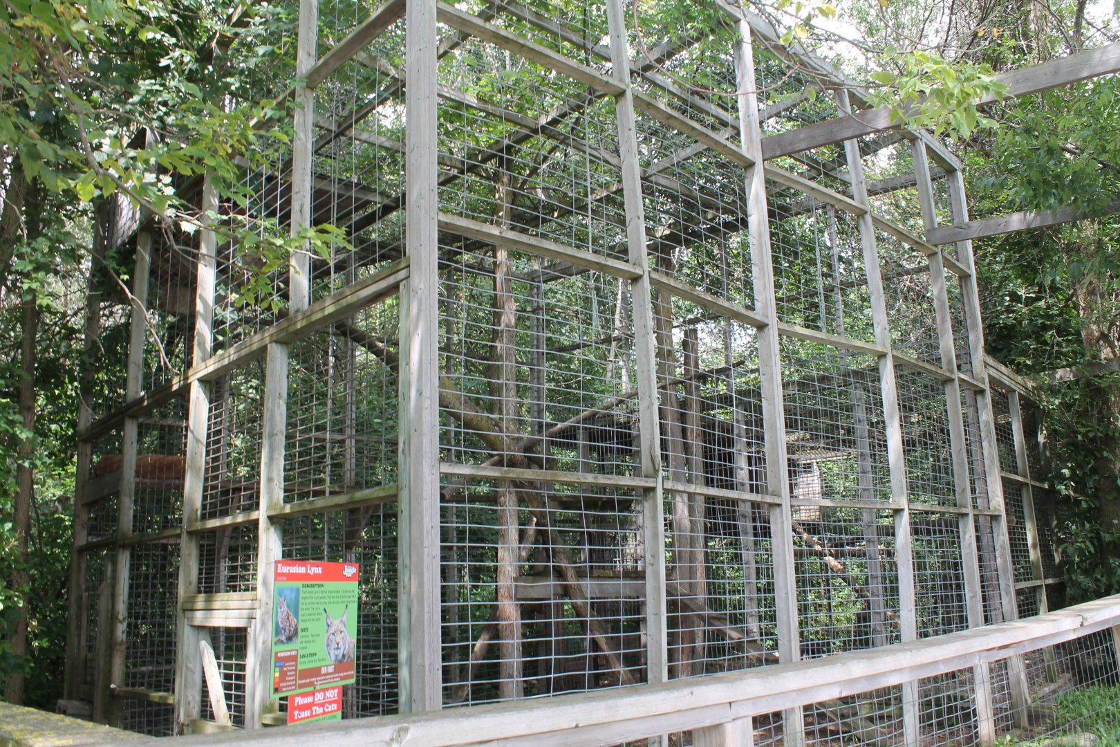 Eurasian lynx exhibit