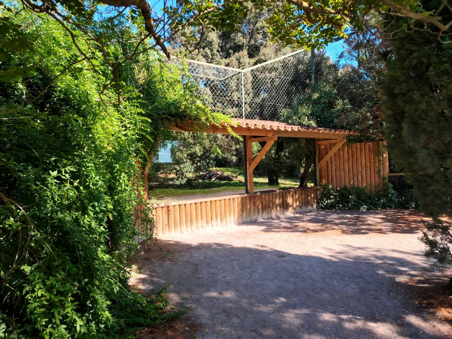 Eurasian Lynx Exhibit