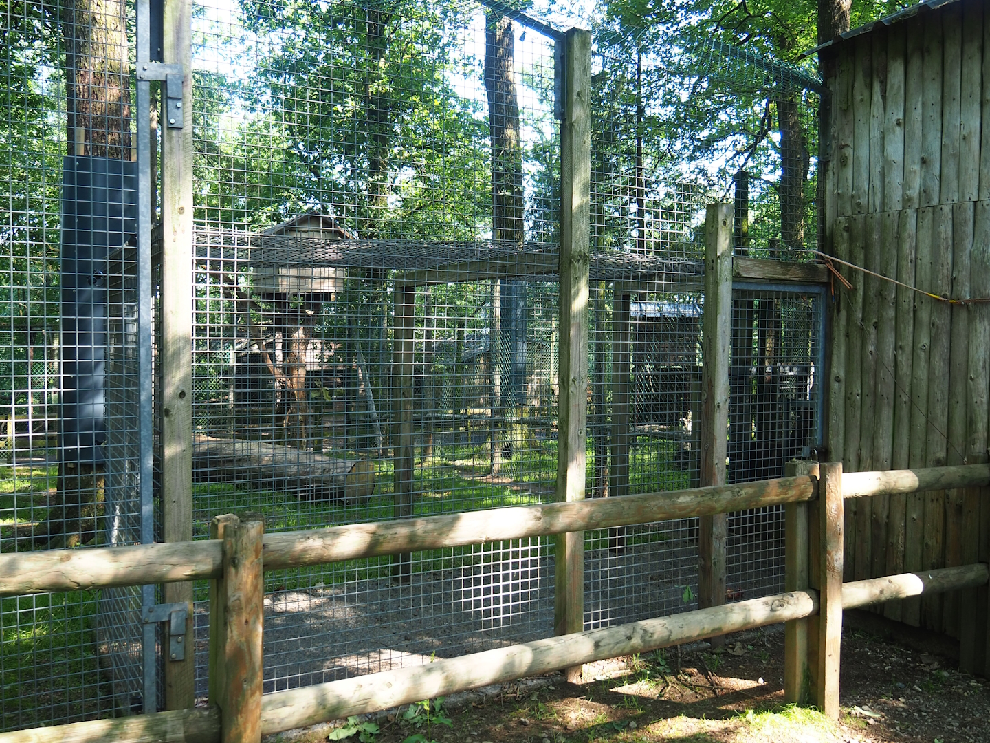 Eurasian lynx holding cage, 2023-06-24