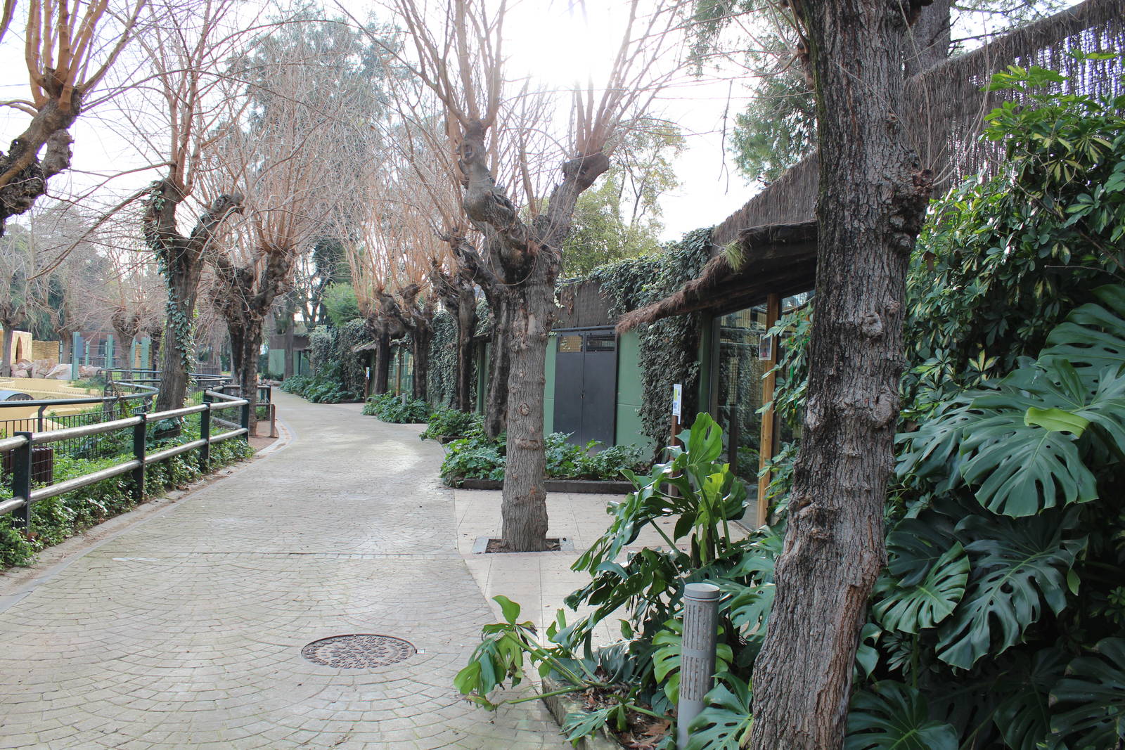 Eurasian Lynx & Primate Enclosures - Jan 2014