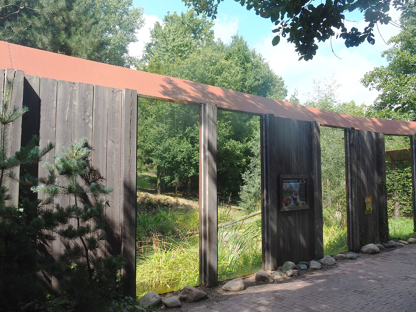 Eurasian lynx viewing windows, 2022-08-20