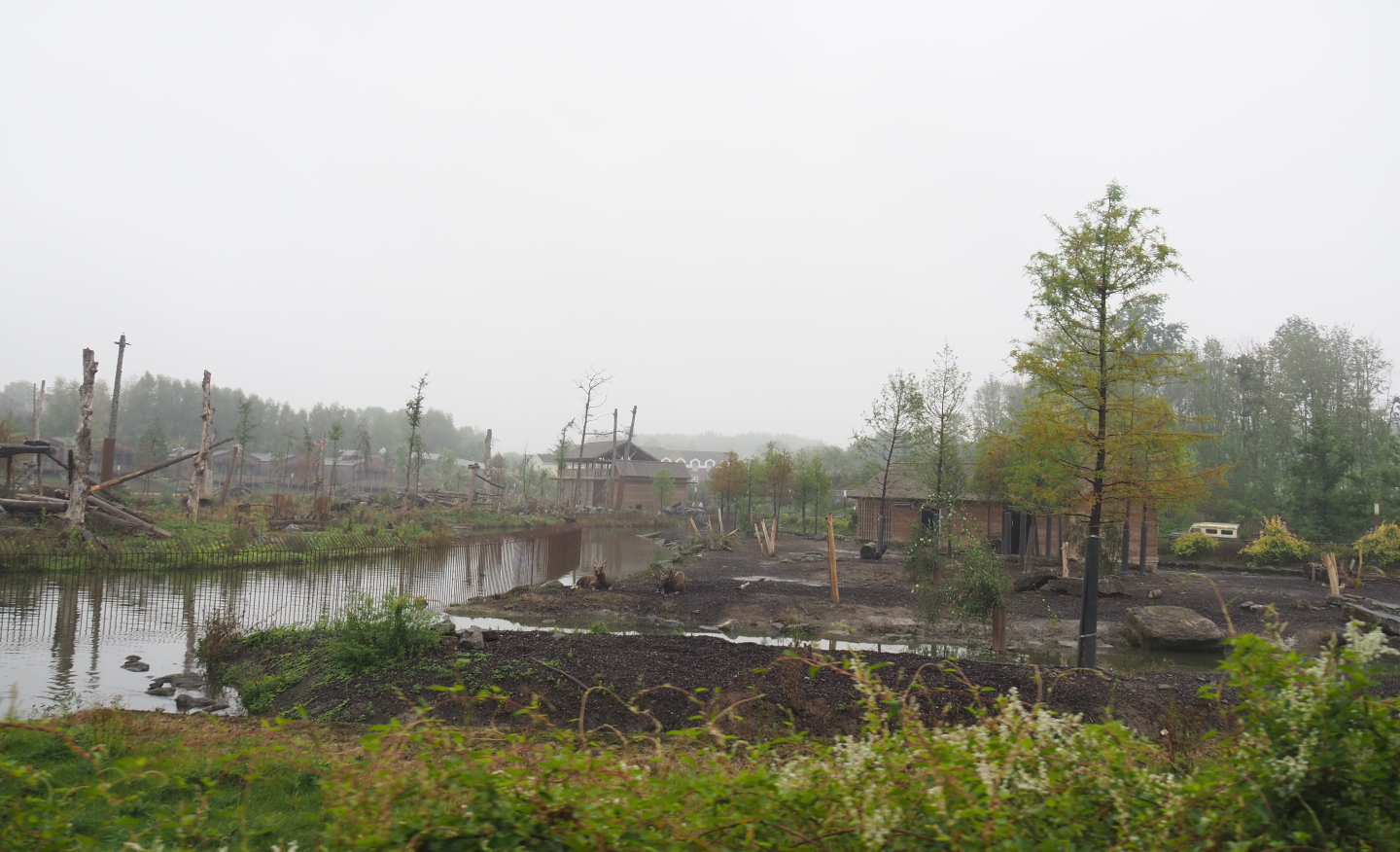 Eurasian moose and American black bear exhibits of The Last Frontier, seen from the train, 2022-09-14