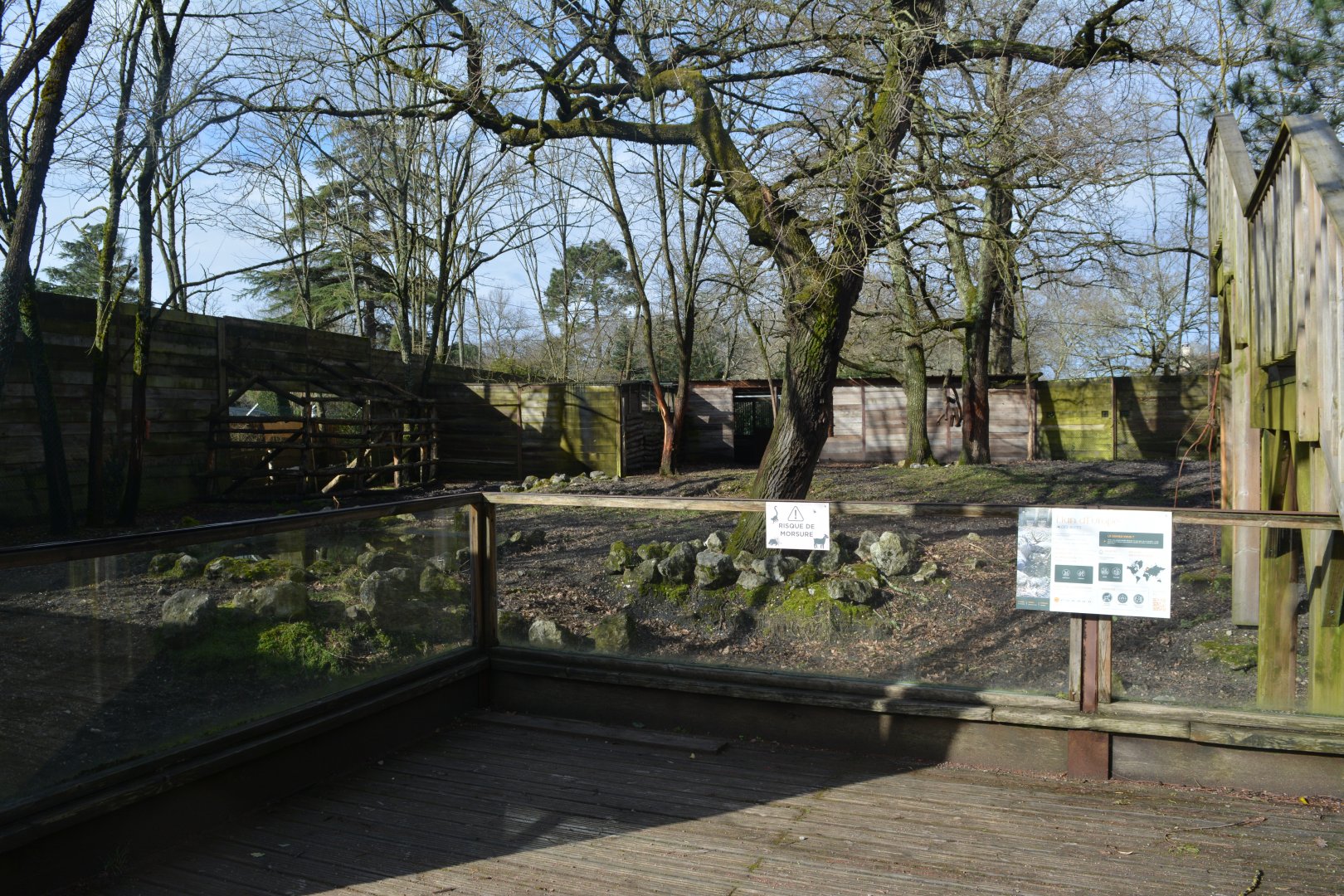 Eurasian moose enclosure