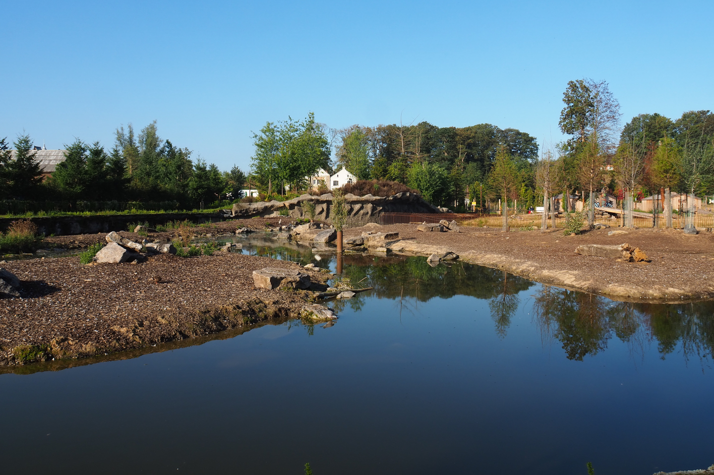Eurasian moose exhibit, 2020-09-02