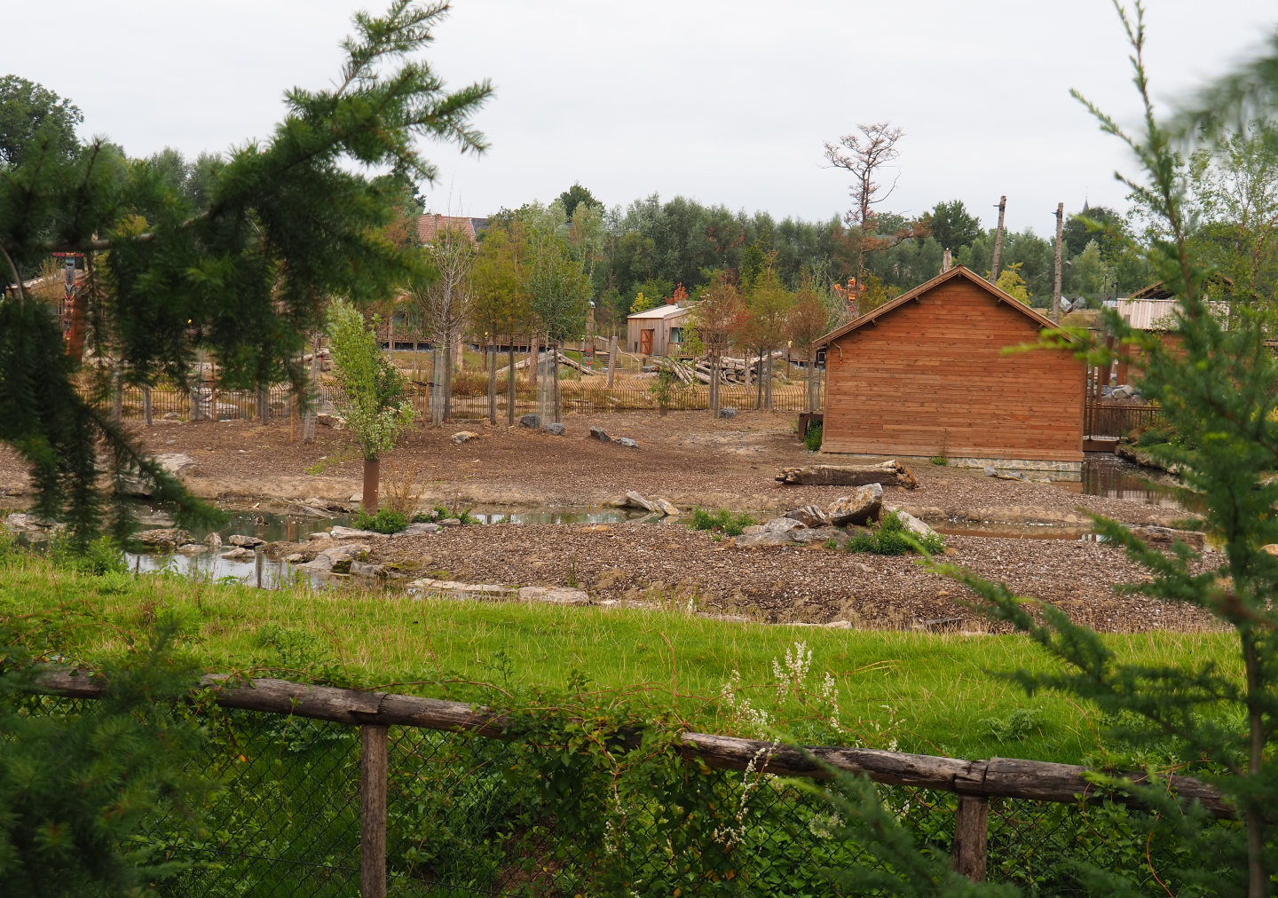 Eurasian moose exhibit, 2020-09-03