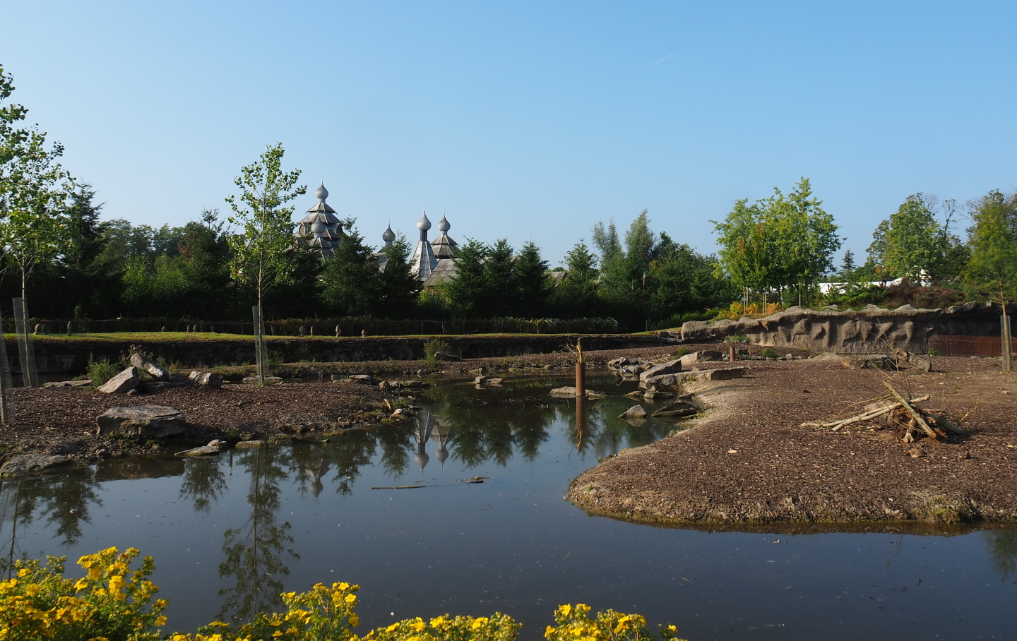 Eurasian moose exhibit, 2021-09-02