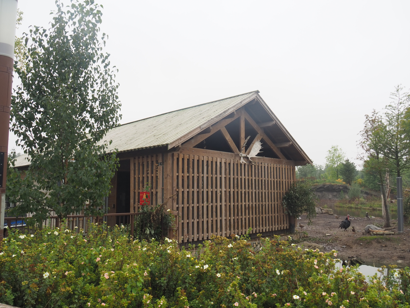 Eurasian moose holding building, 2022-09-14