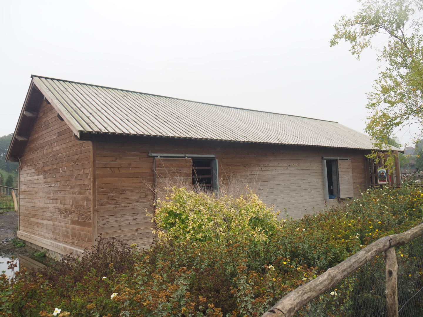 Eurasian moose holding building, 2022-09-14