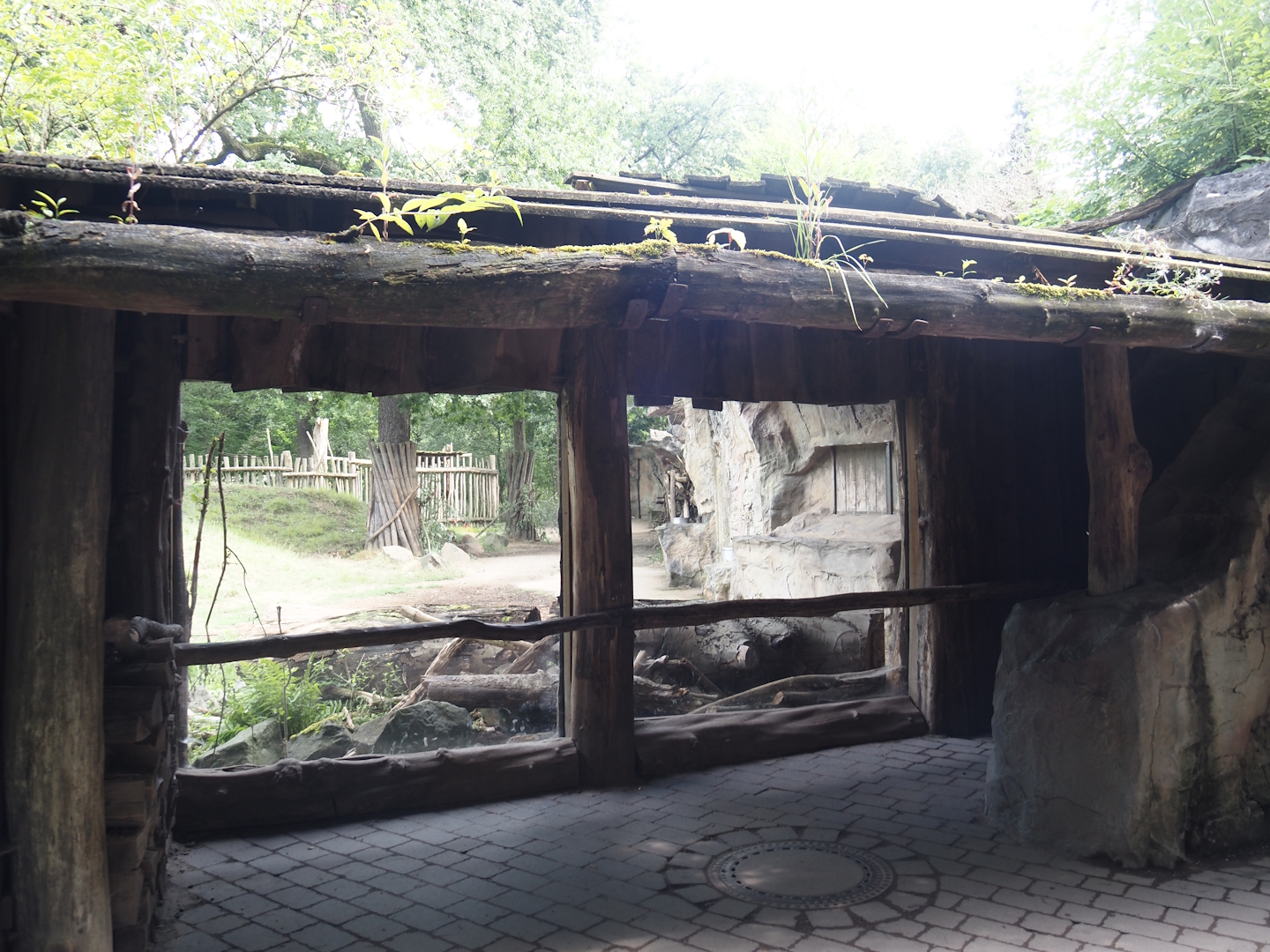 Eurasian moose viewing area, 2024-08-05