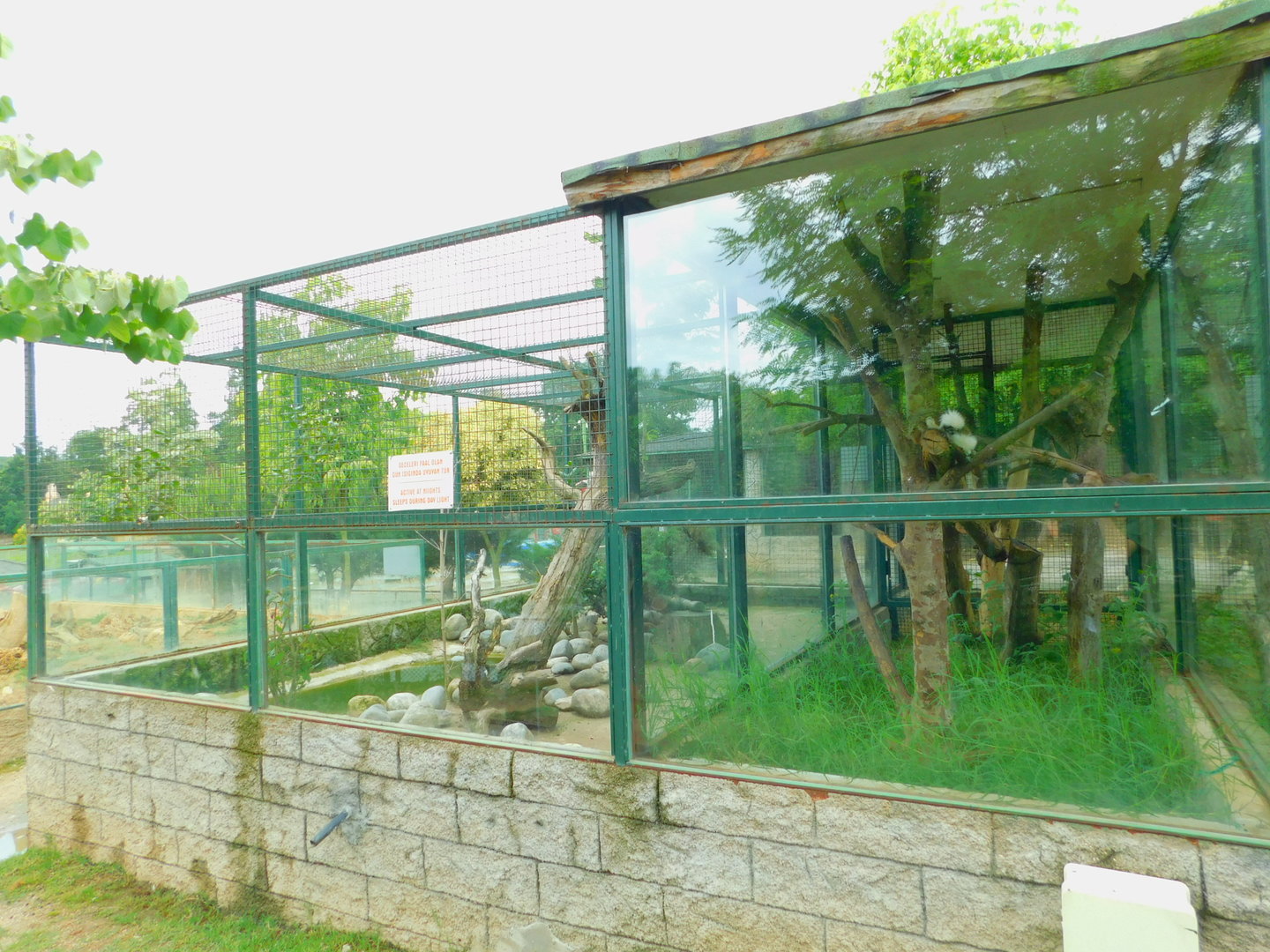 Eurasian Otter and Cotton-top Tamarin Enclosure