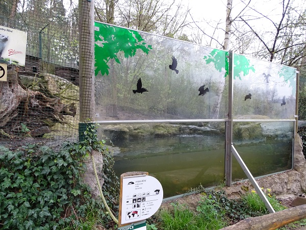 Eurasian otter enclosure (04/23)